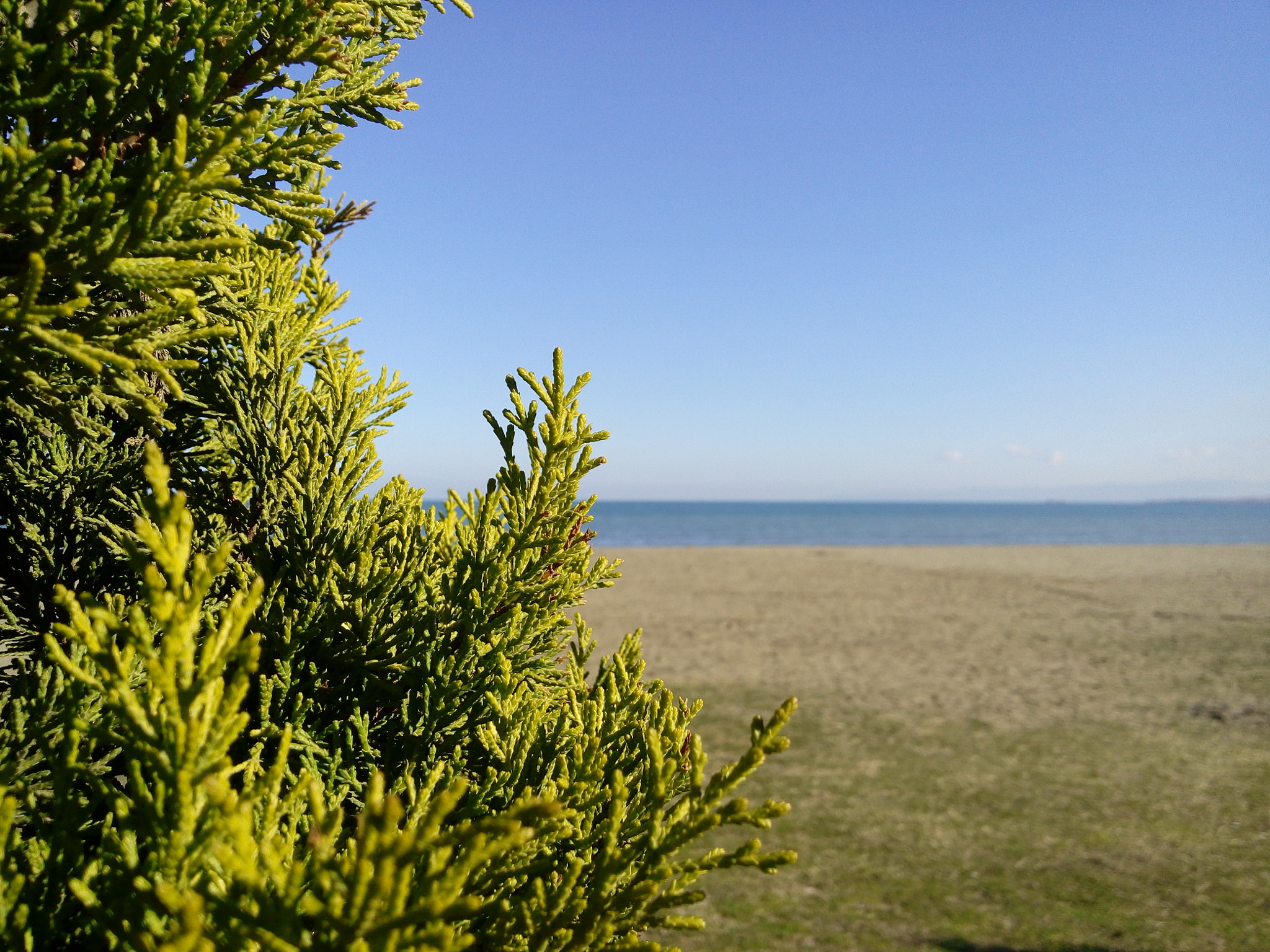 LG G Vista sample photo