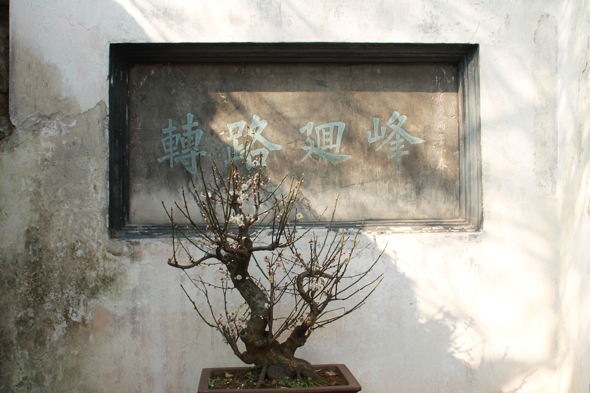 Canon EF 28-80mm f/3.5-5.6 sample photo. Gardens - shanghai, china 2016 photography