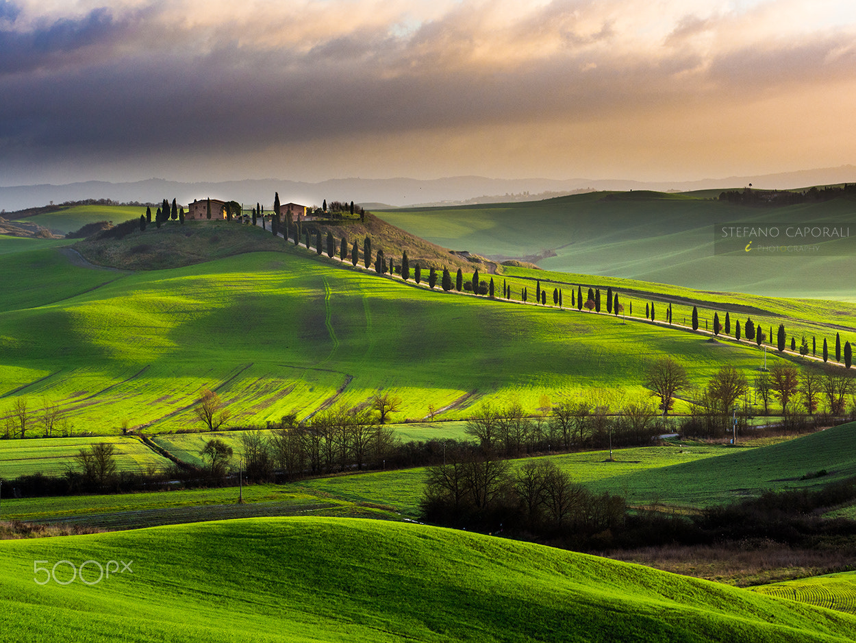 Olympus OM-D E-M10 II + Olympus M.Zuiko Digital ED 40-150mm F2.8 Pro sample photo. Rolling hills in tuscany photography