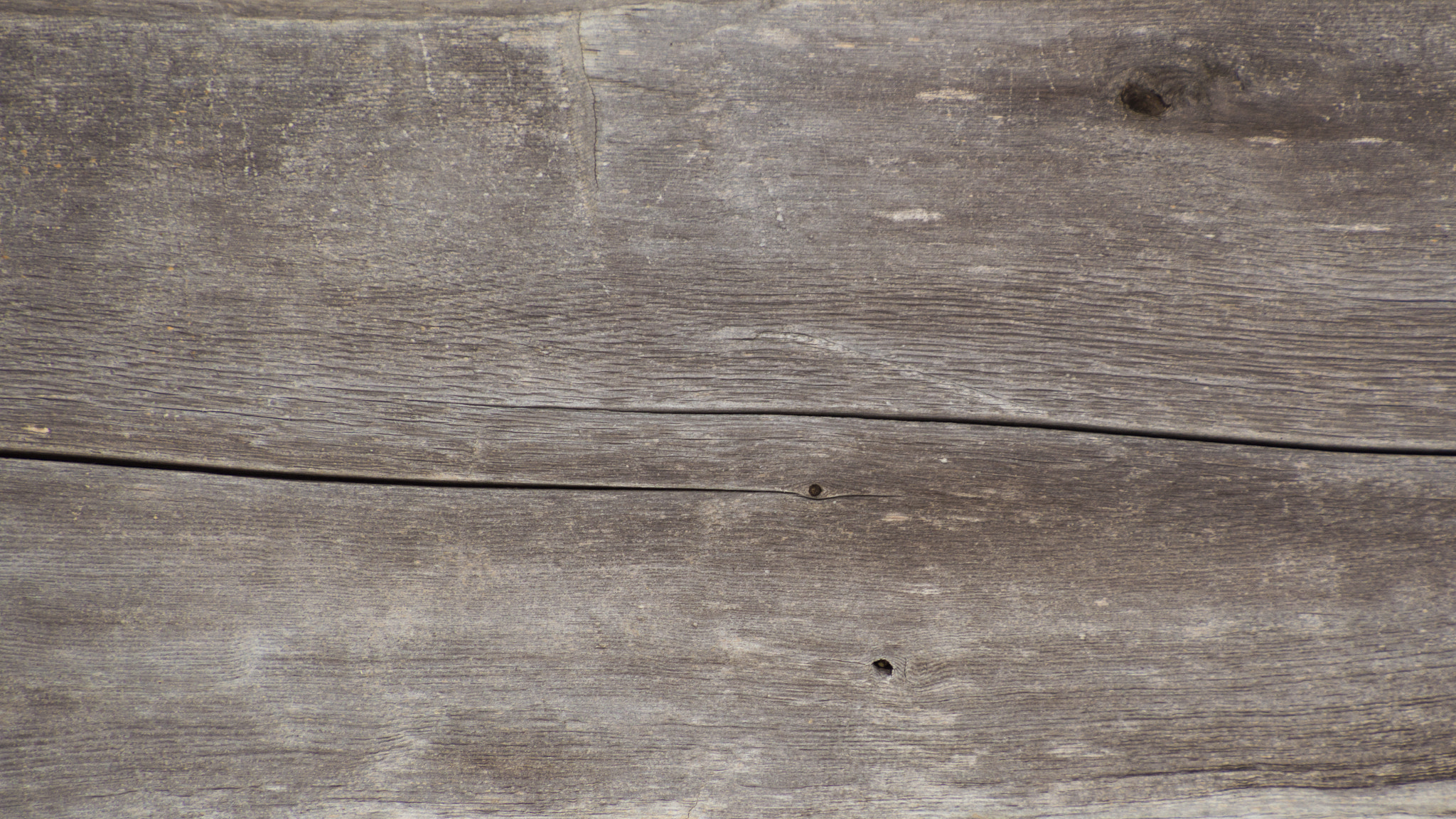 Nikon D3200 sample photo. Closeup of wood grain from log cabin wood timber photography