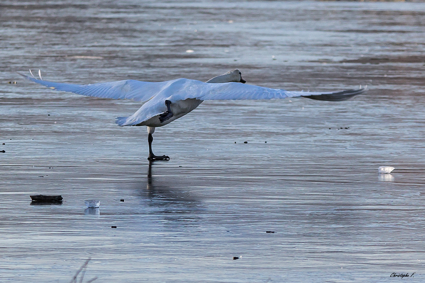 Sigma 70-200mm F2.8 EX DG OS HSM sample photo. Ice danse photography