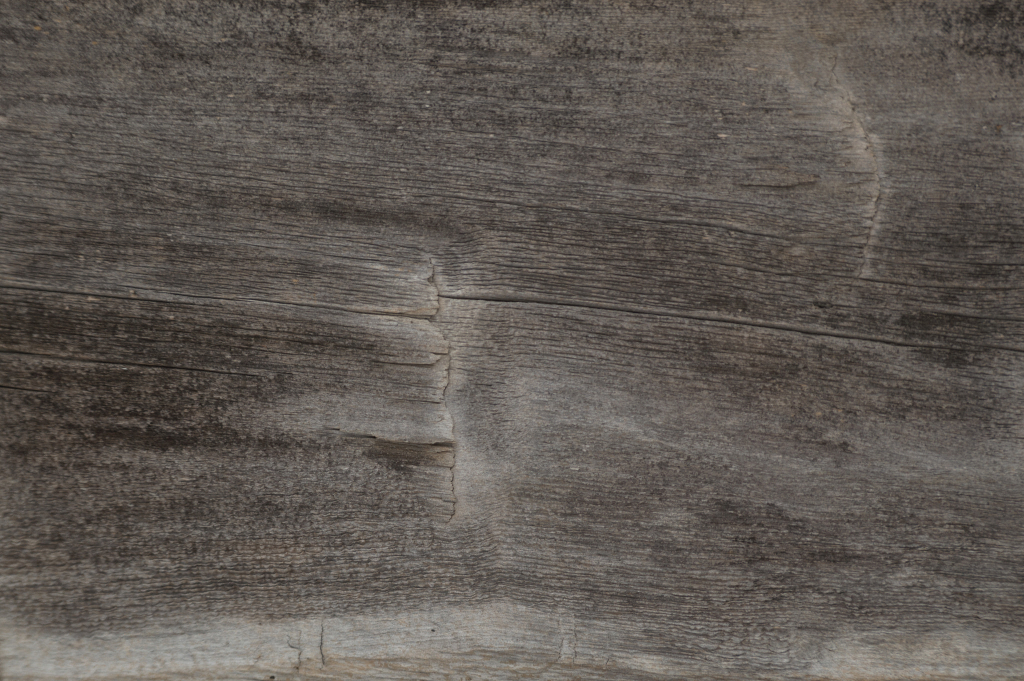 Nikon D3200 sample photo. Old log cabin wood timber closeup photography