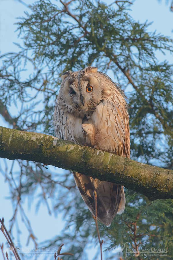 Nikon D7100 + Nikon AF-S Nikkor 300mm F4D ED-IF sample photo. What do you want from me? photography