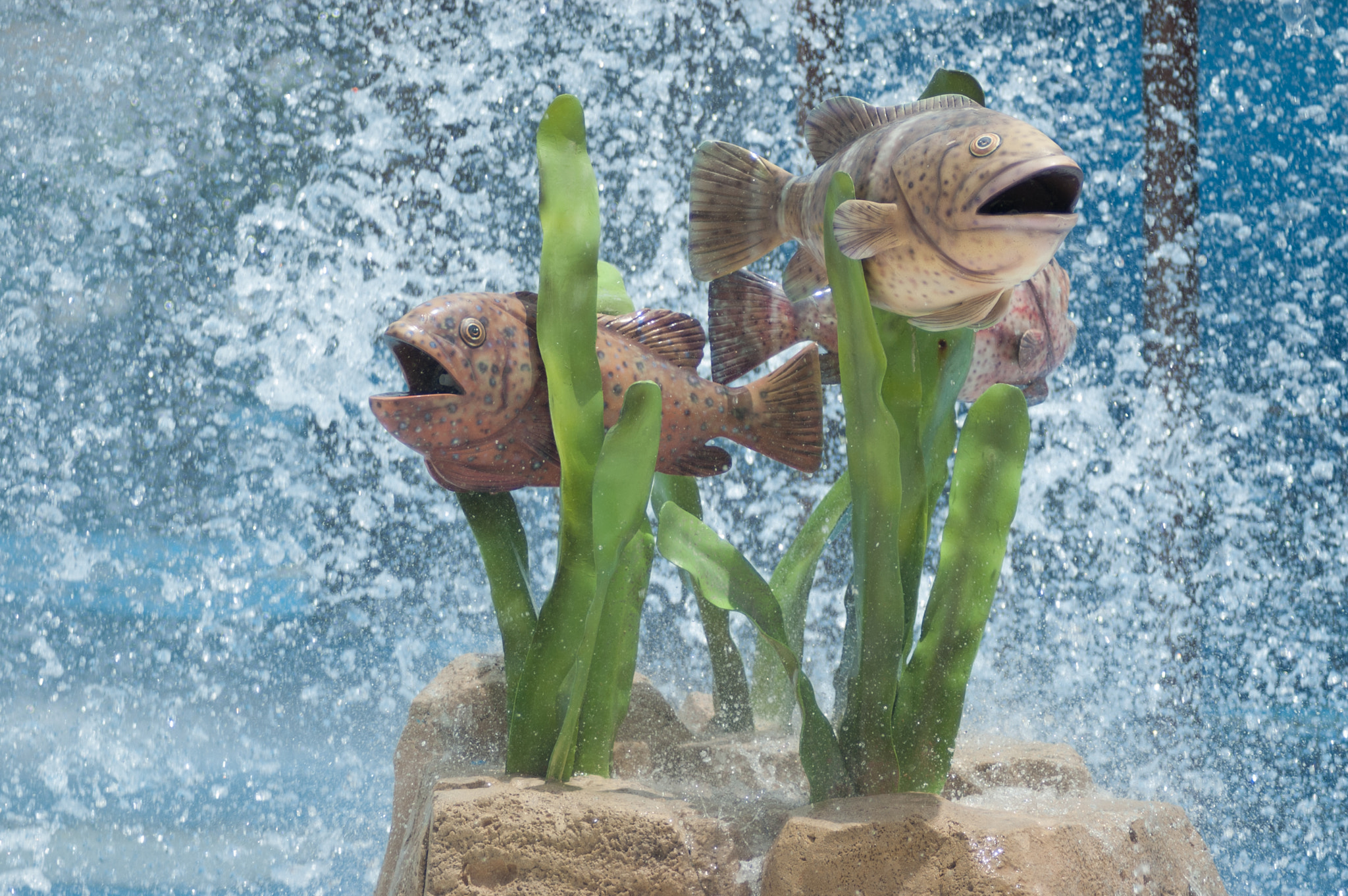 Nikon D70 sample photo. Yas waterworld, yas island, جزيرة ياس‎ photography