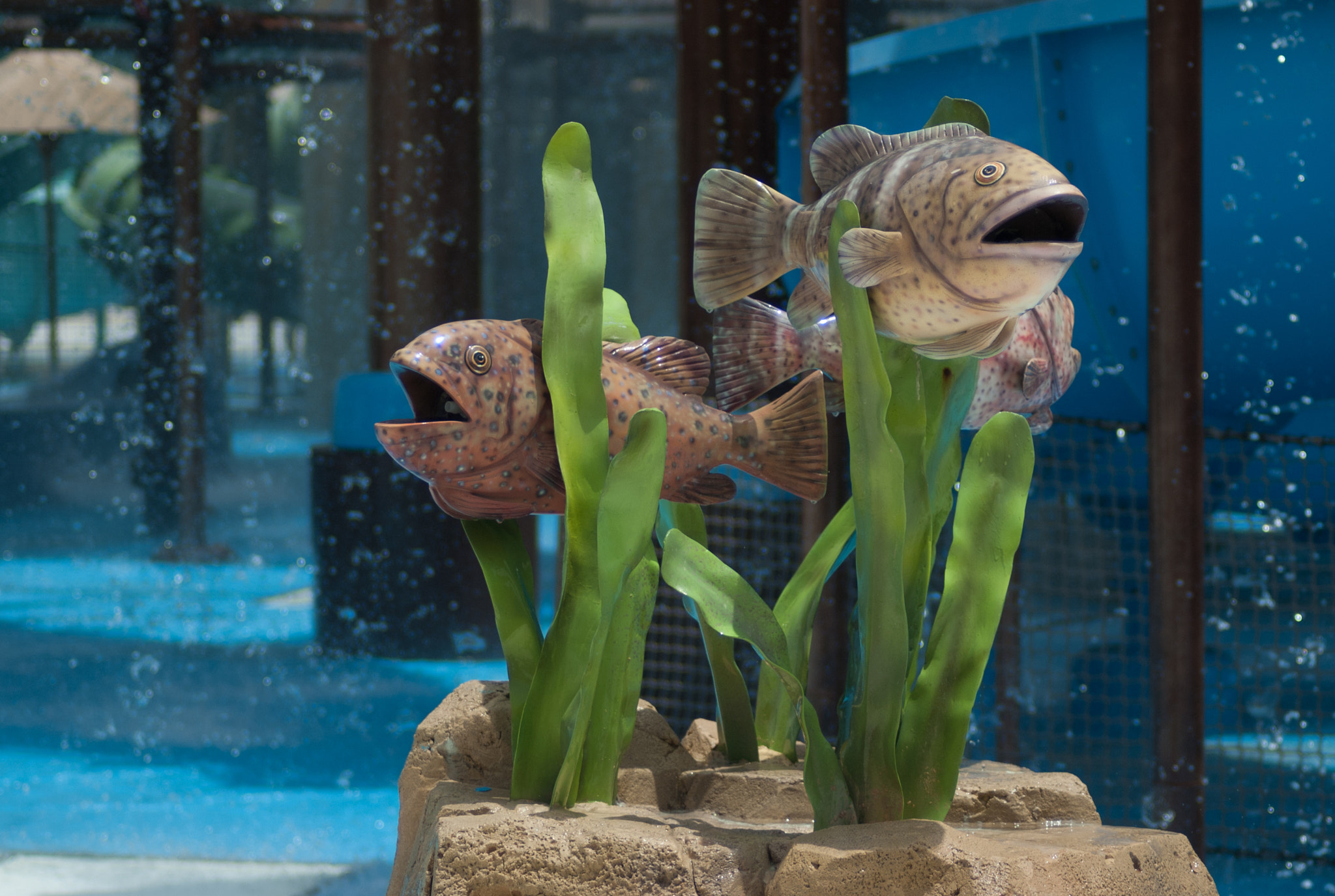 Nikon D70 sample photo. Yas waterworld, yas island, جزيرة ياس‎ photography