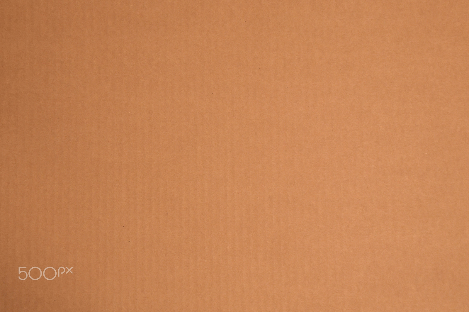 Nikon D3200 sample photo. Simple background of plain kraft paper or cardboard photography