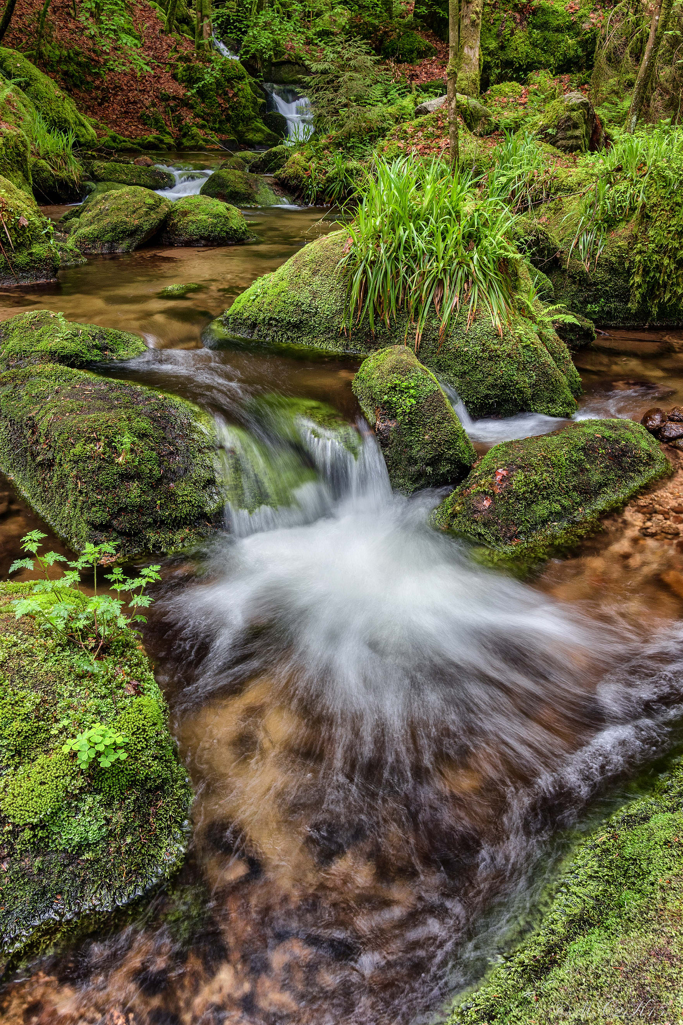 Canon EF 16-35mm F2.8L II USM sample photo. Gertelbach - black forest photography