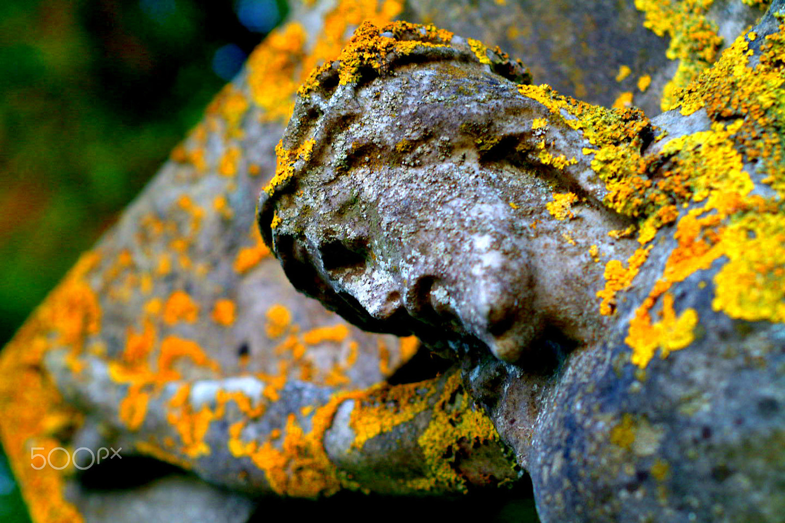 Fujifilm FinePix S2 Pro sample photo. Life is fearsome! but nothing to be fearful of. photography
