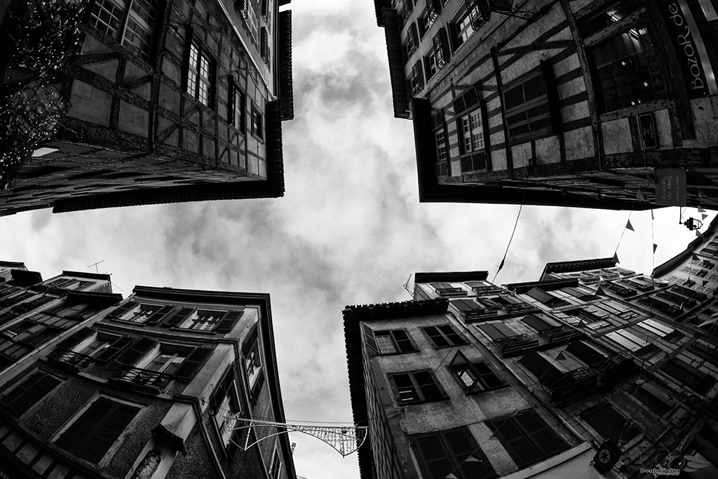 Canon EF 8-15mm F4L Fisheye USM sample photo. Mg photography