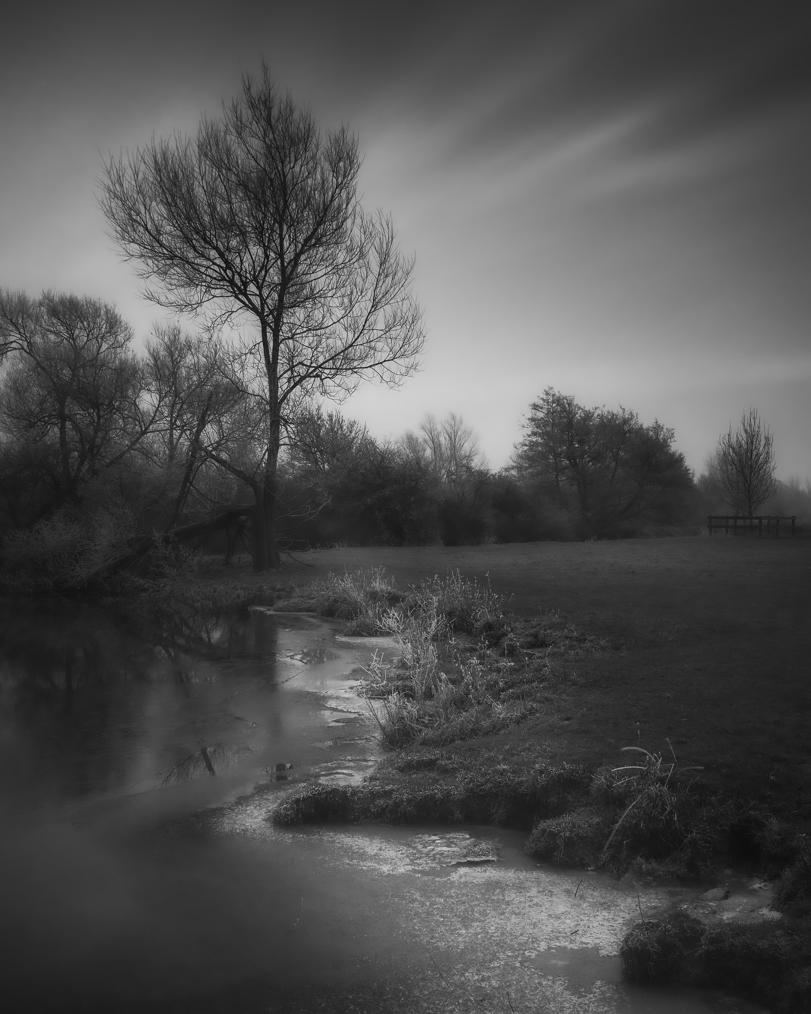 Nikon D810 sample photo. Frost on the stour photography