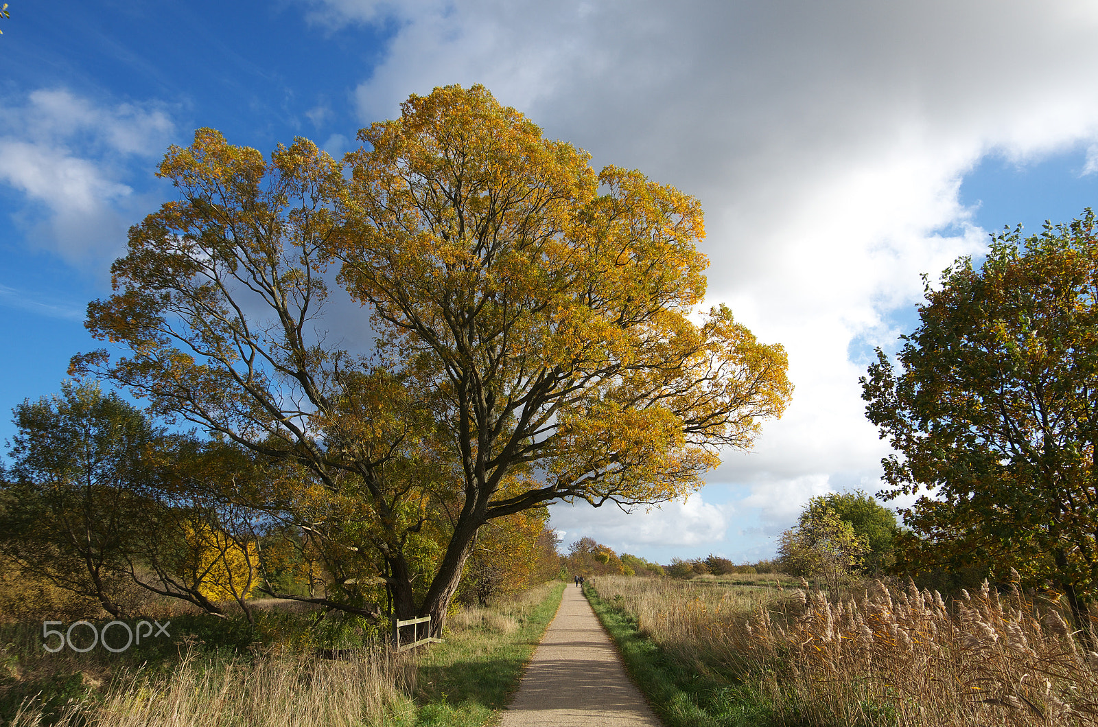 Pentax K-50 sample photo. Autumn photography