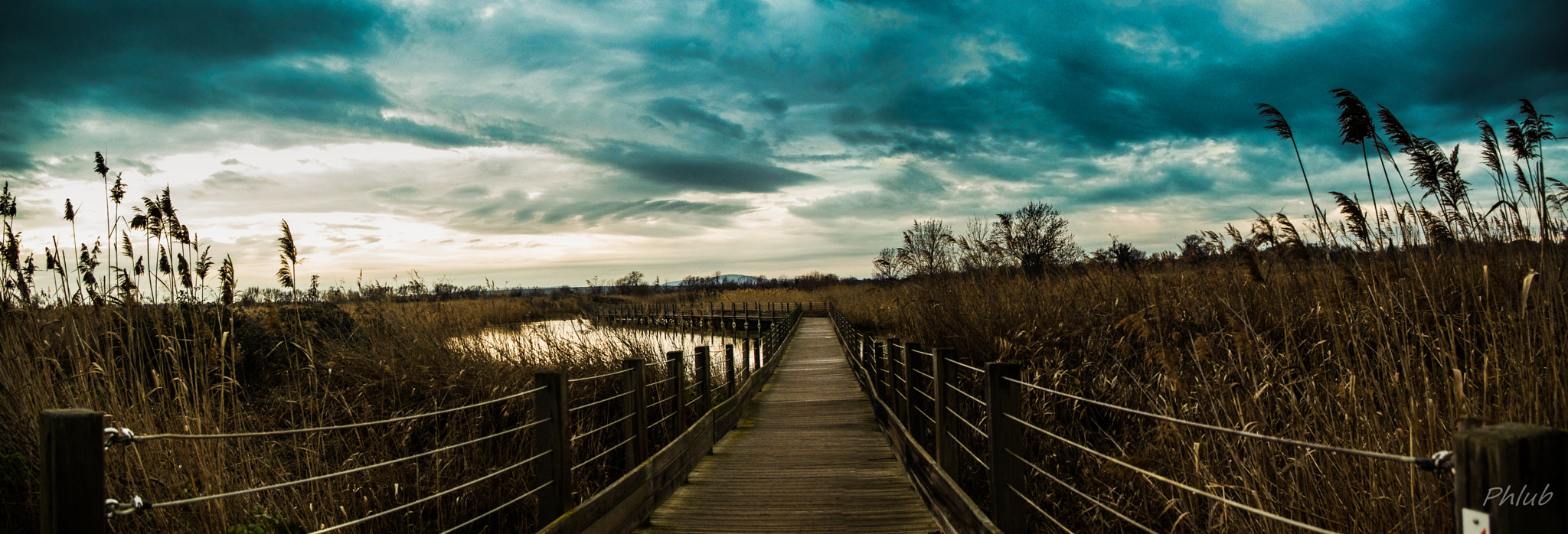 Pentax K-5 II sample photo. Spiritual walk photography