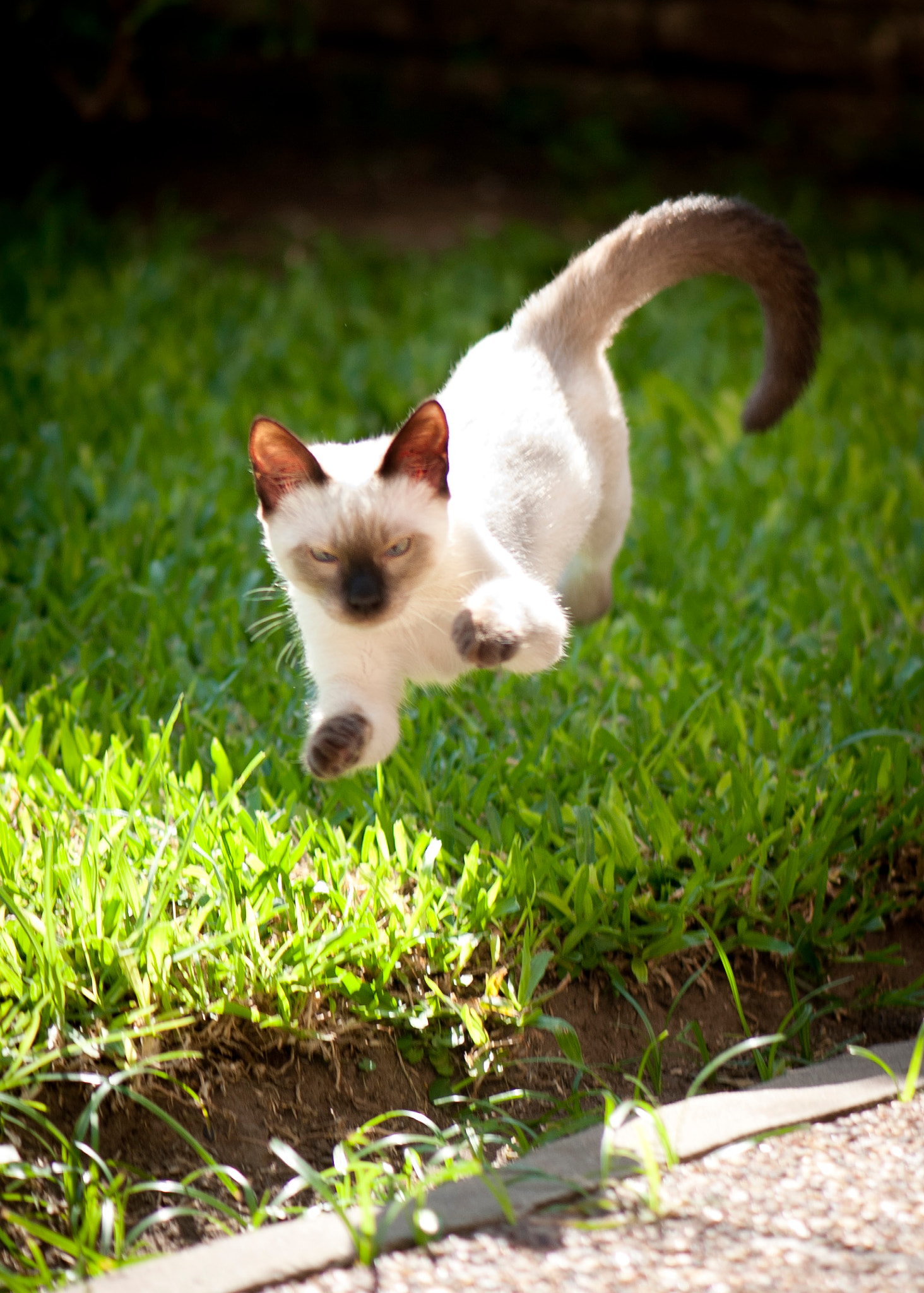 Nikon D3 sample photo