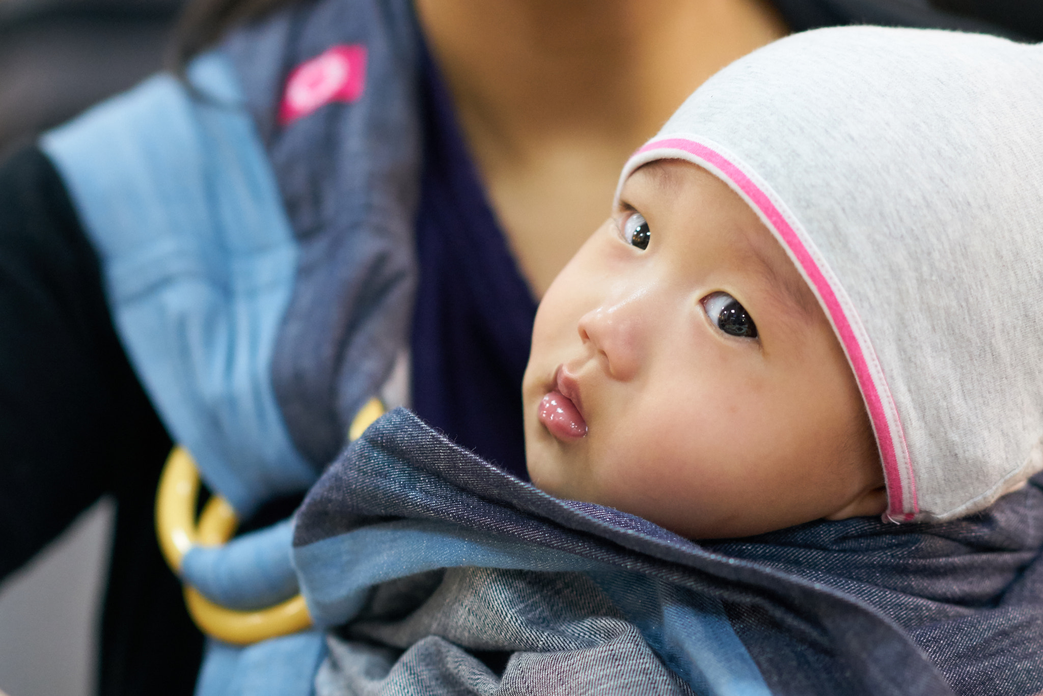 Sony Sonnar T* FE 55mm F1.8 ZA sample photo. 31545776083.jpg photography