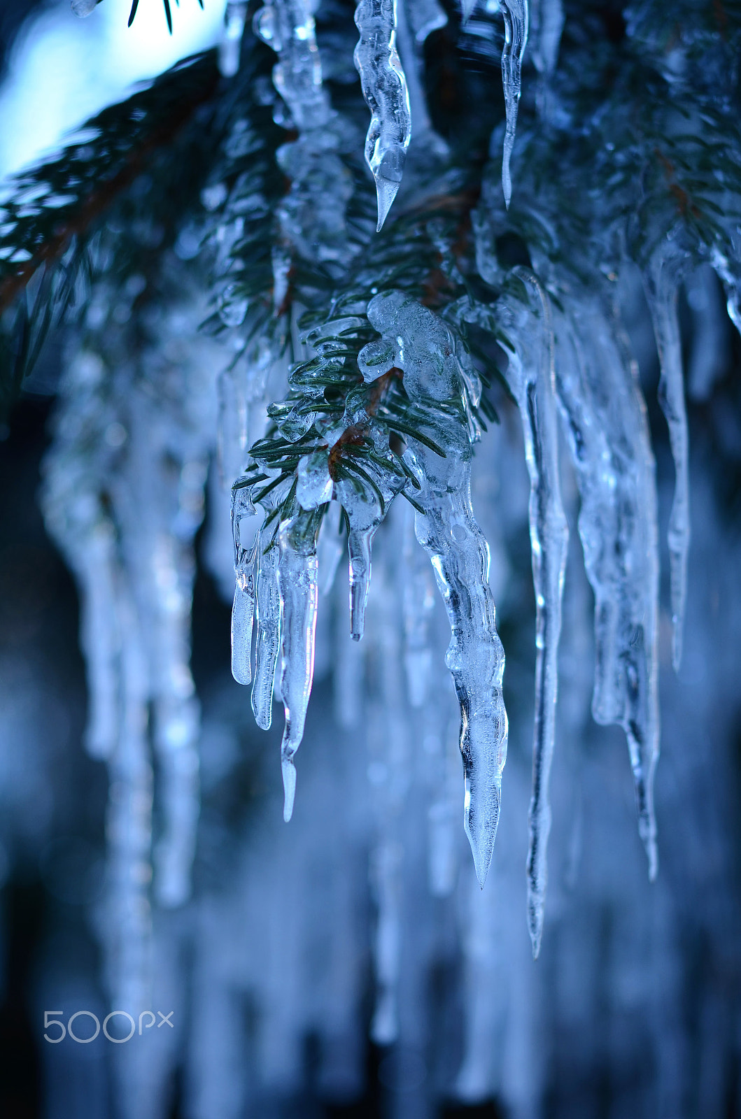 Nikon AF-S Micro-Nikkor 60mm F2.8G ED sample photo. Eiszapfen photography