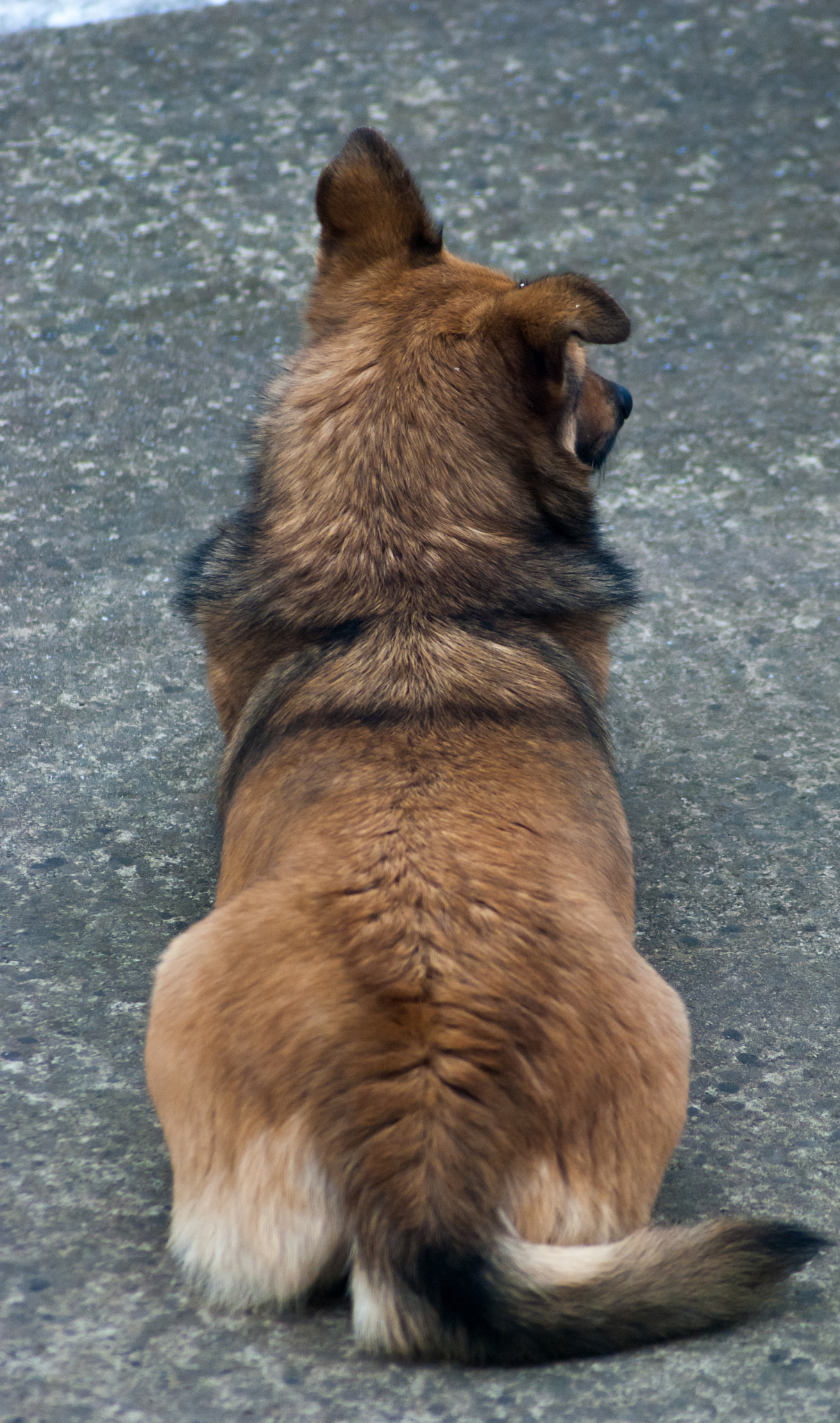 Nikon D60 sample photo. What? photography
