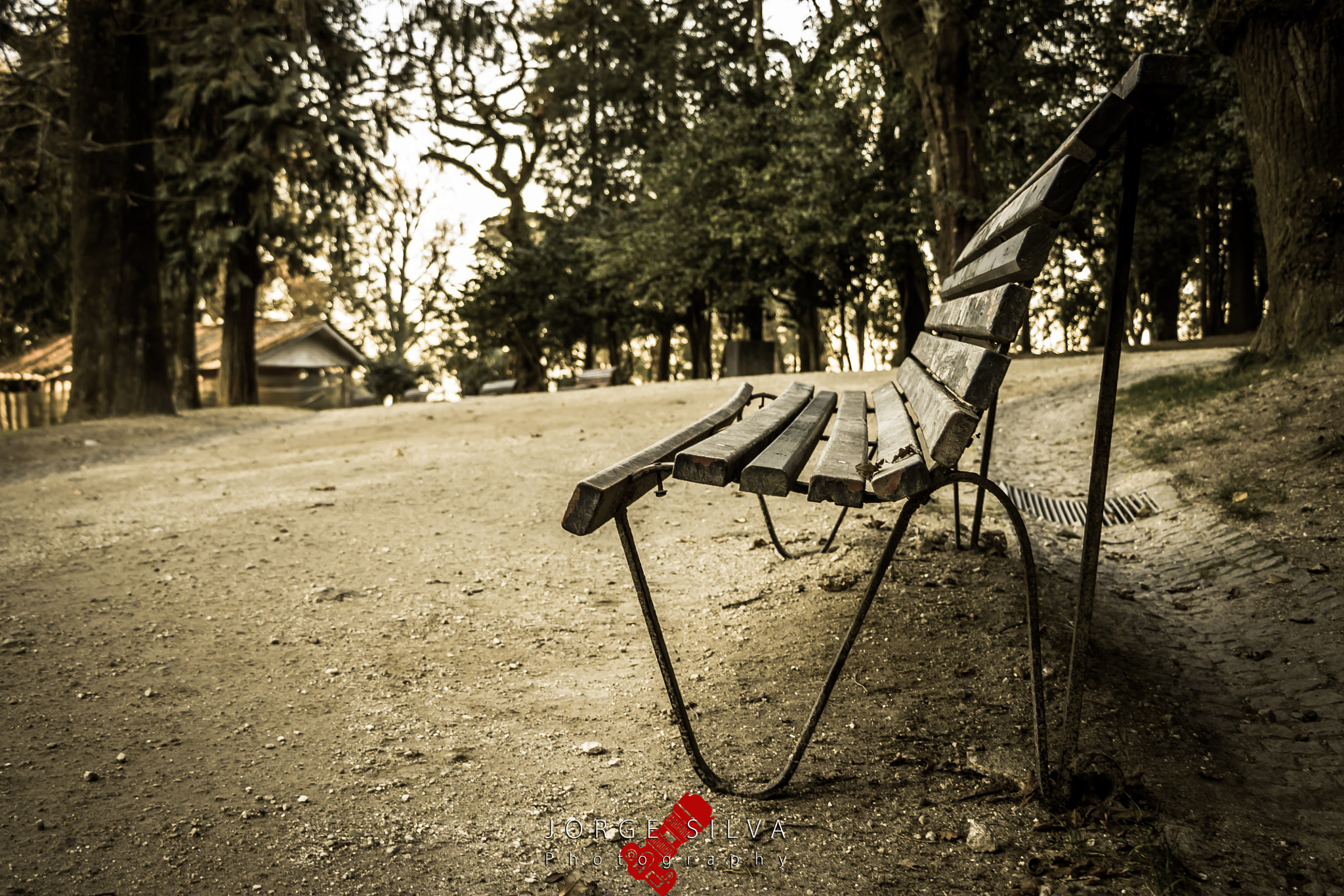 Canon EOS 1100D (EOS Rebel T3 / EOS Kiss X50) sample photo. The bench photography