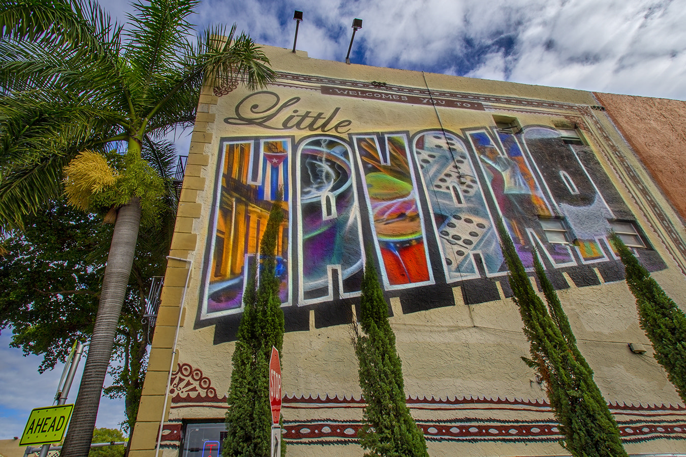 Canon EOS-1D X + Canon EF 16-35mm F2.8L USM sample photo. Little havana sign photography