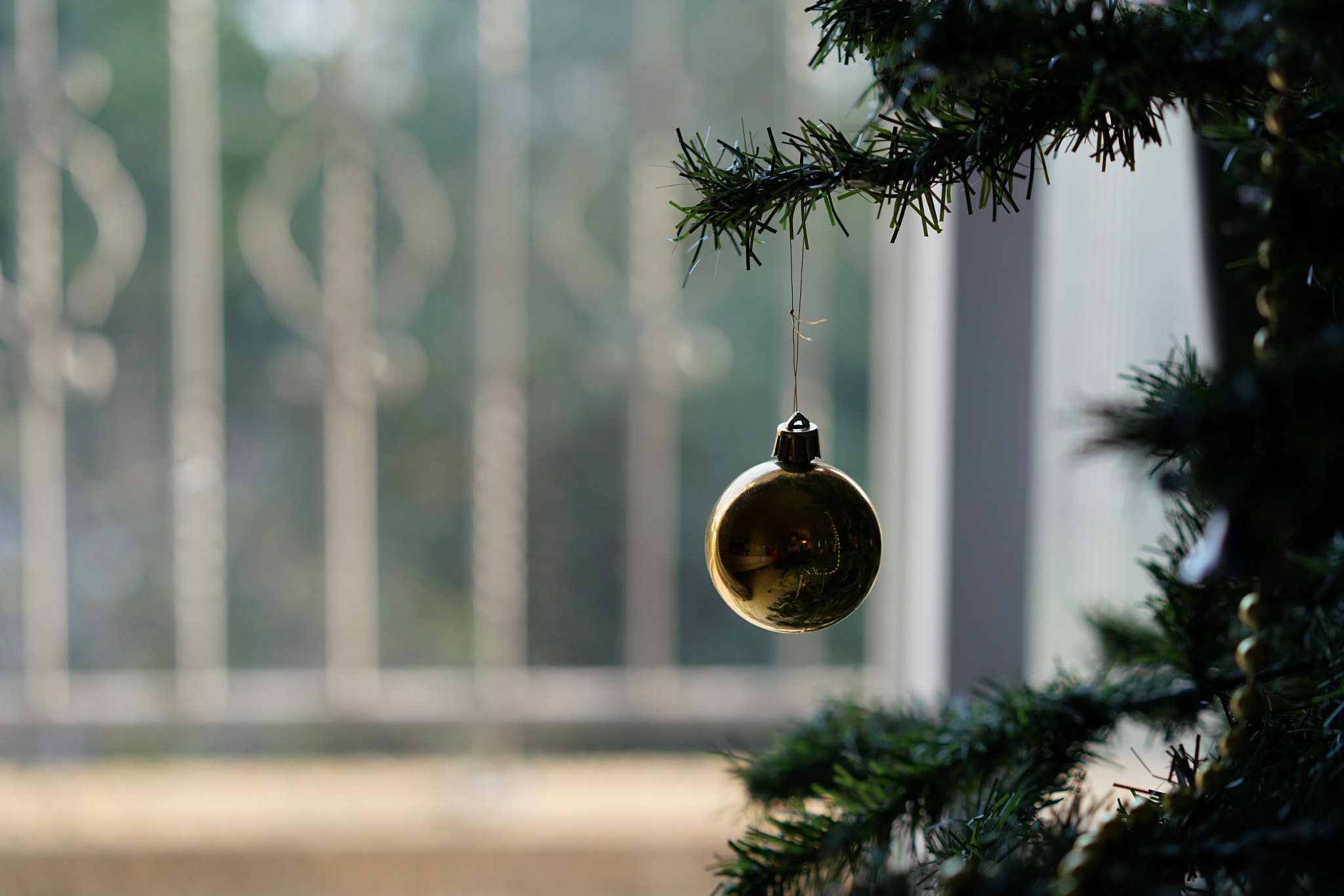 Sony a7R II + Sony Sonnar T* FE 55mm F1.8 ZA sample photo. 30879118343.jpg photography