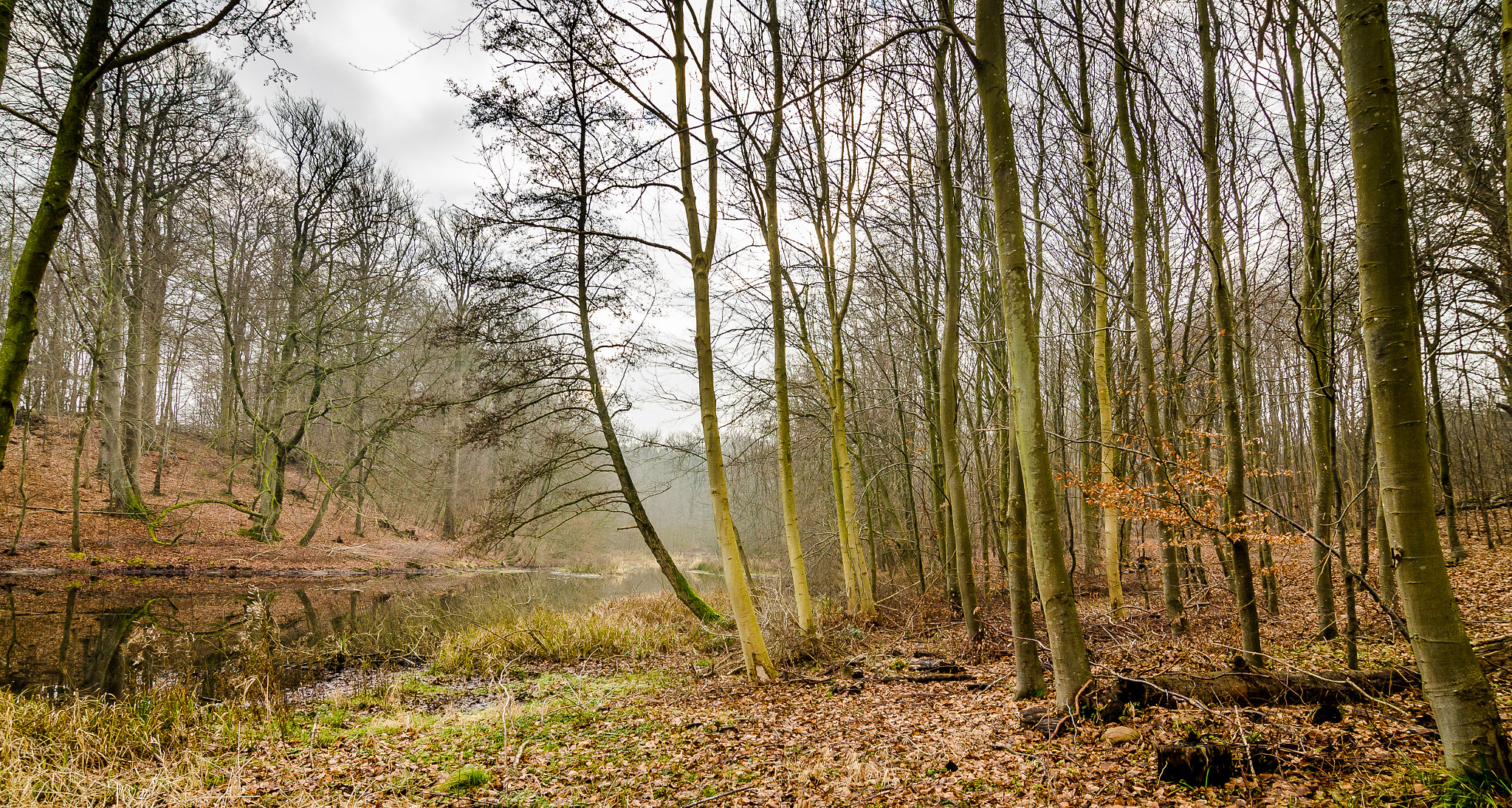 Tokina AT-X Pro 12-24mm F4 (IF) DX sample photo. Winter in denmark photography