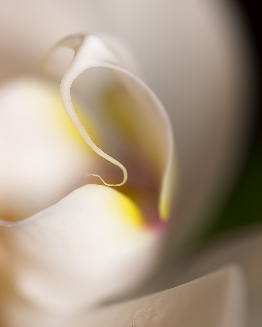 Sony a7 sample photo
