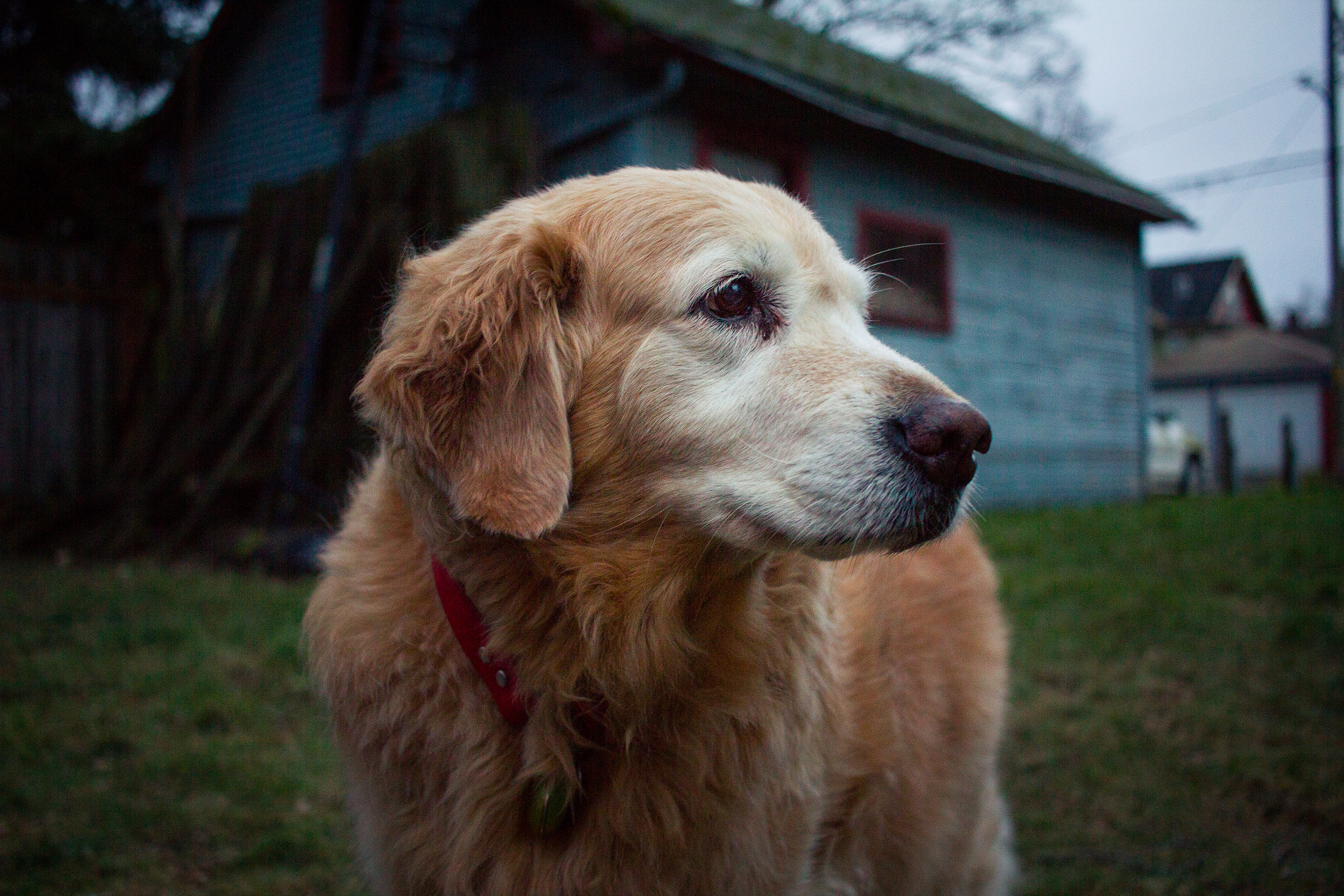 Canon EF-S 24mm F2.8 STM sample photo. Libby photography