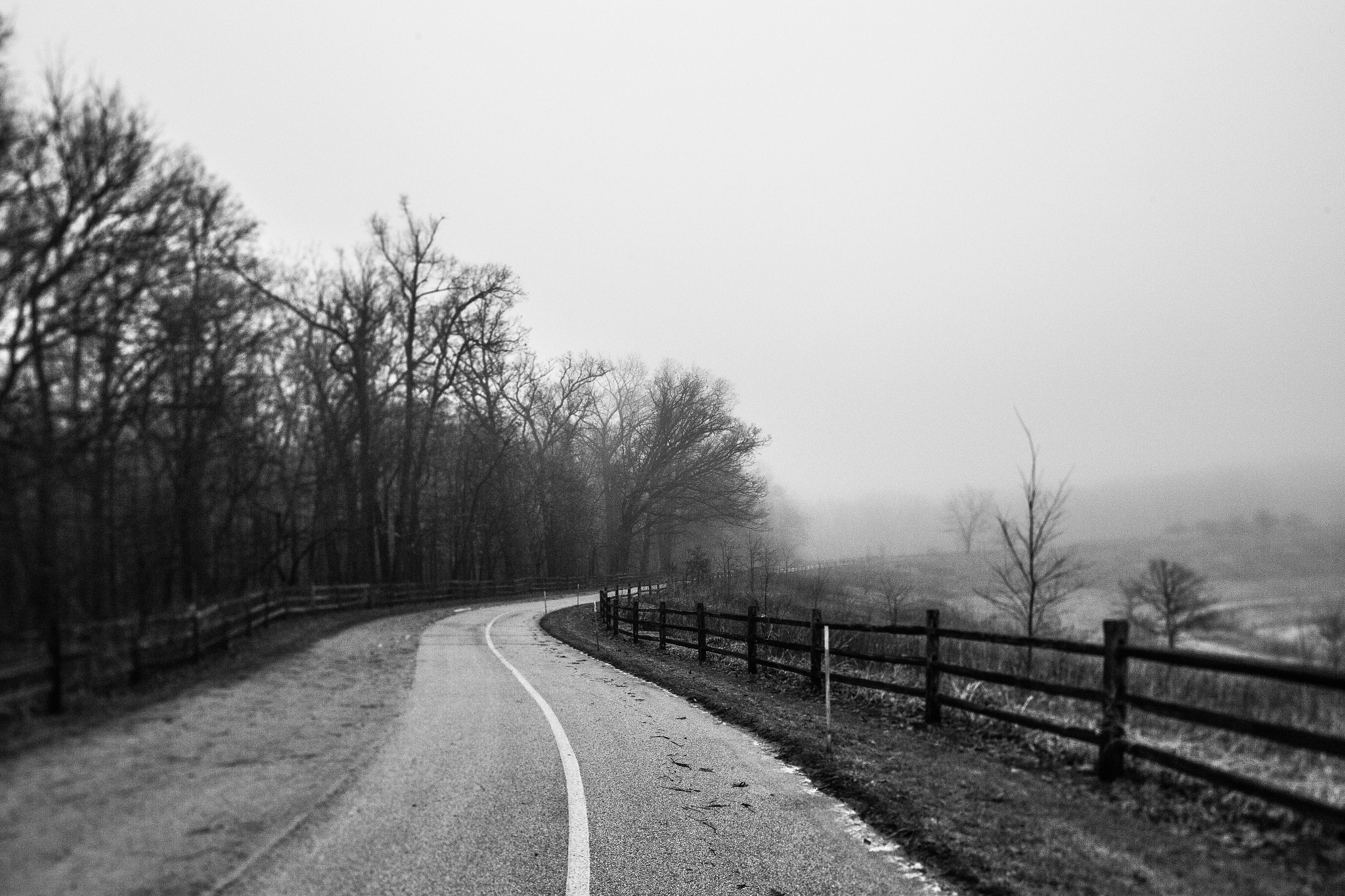 Canon TS-E 24.0mm f/3.5 L II sample photo. Ascent photography