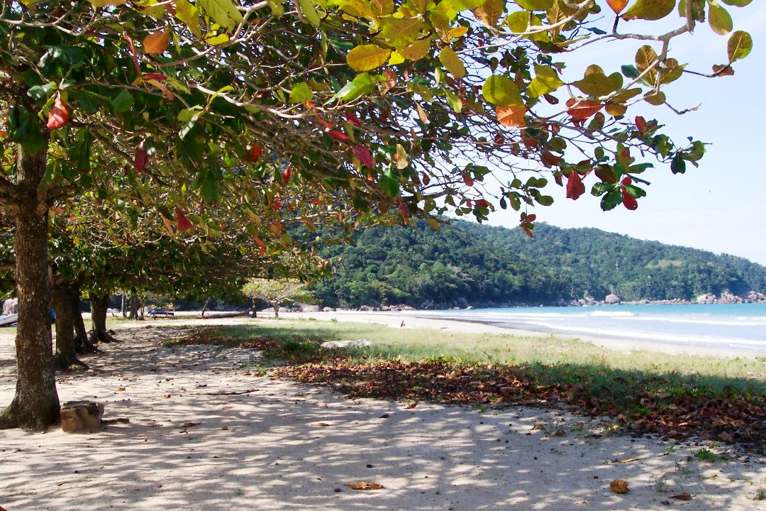 Kodak DX4330 DIGITAL CAMERA sample photo. Dois rios beach two rivers beach ilha grande rio de janeiro photography