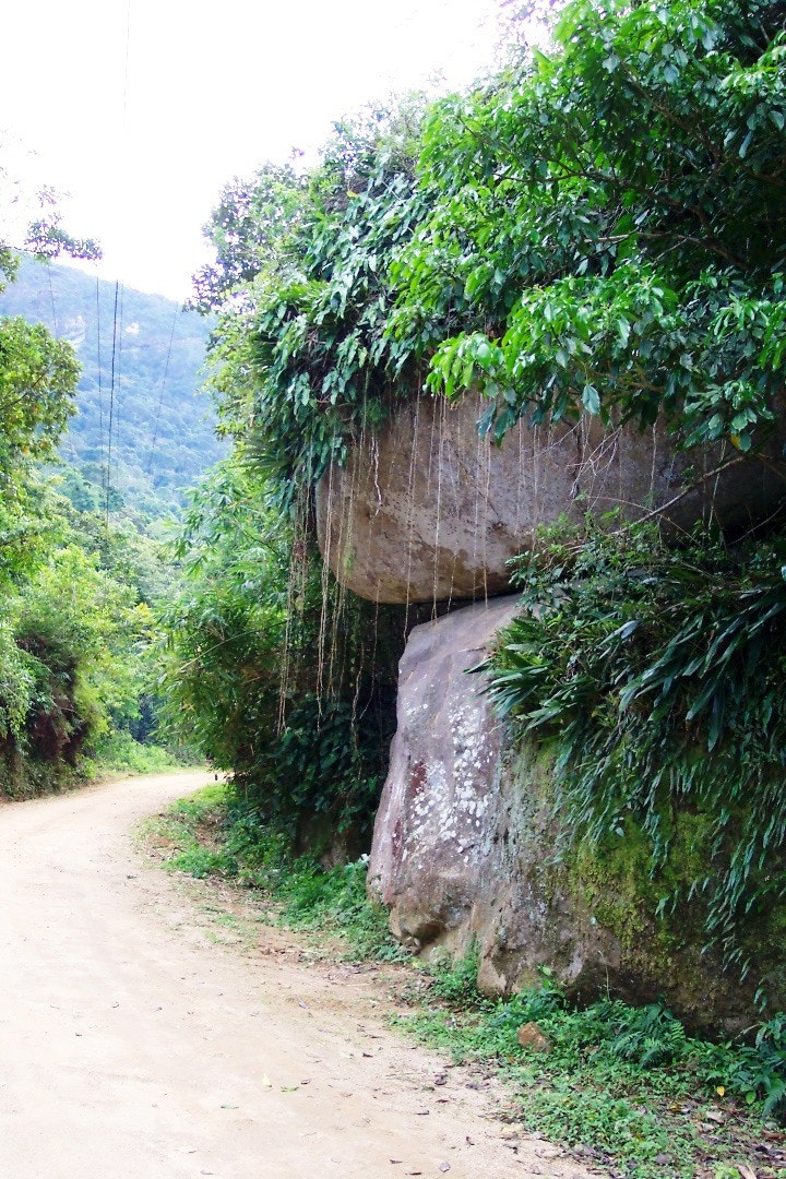 Kodak DX4330 DIGITAL CAMERA sample photo. Ilha grande road big island rio de janeiro photography