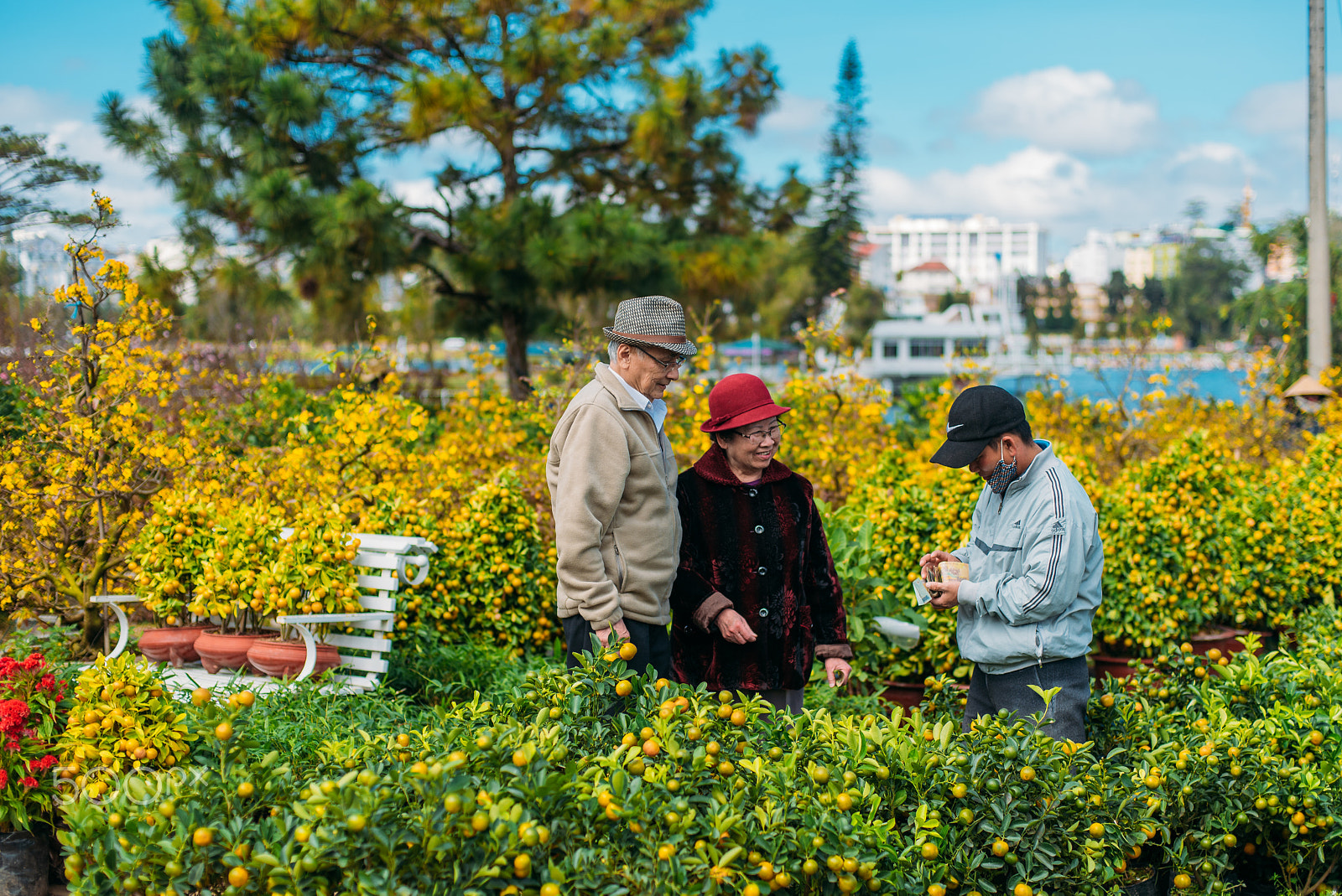 Nikon D750 + AF Nikkor 50mm f/1.4 sample photo. Flower market photography