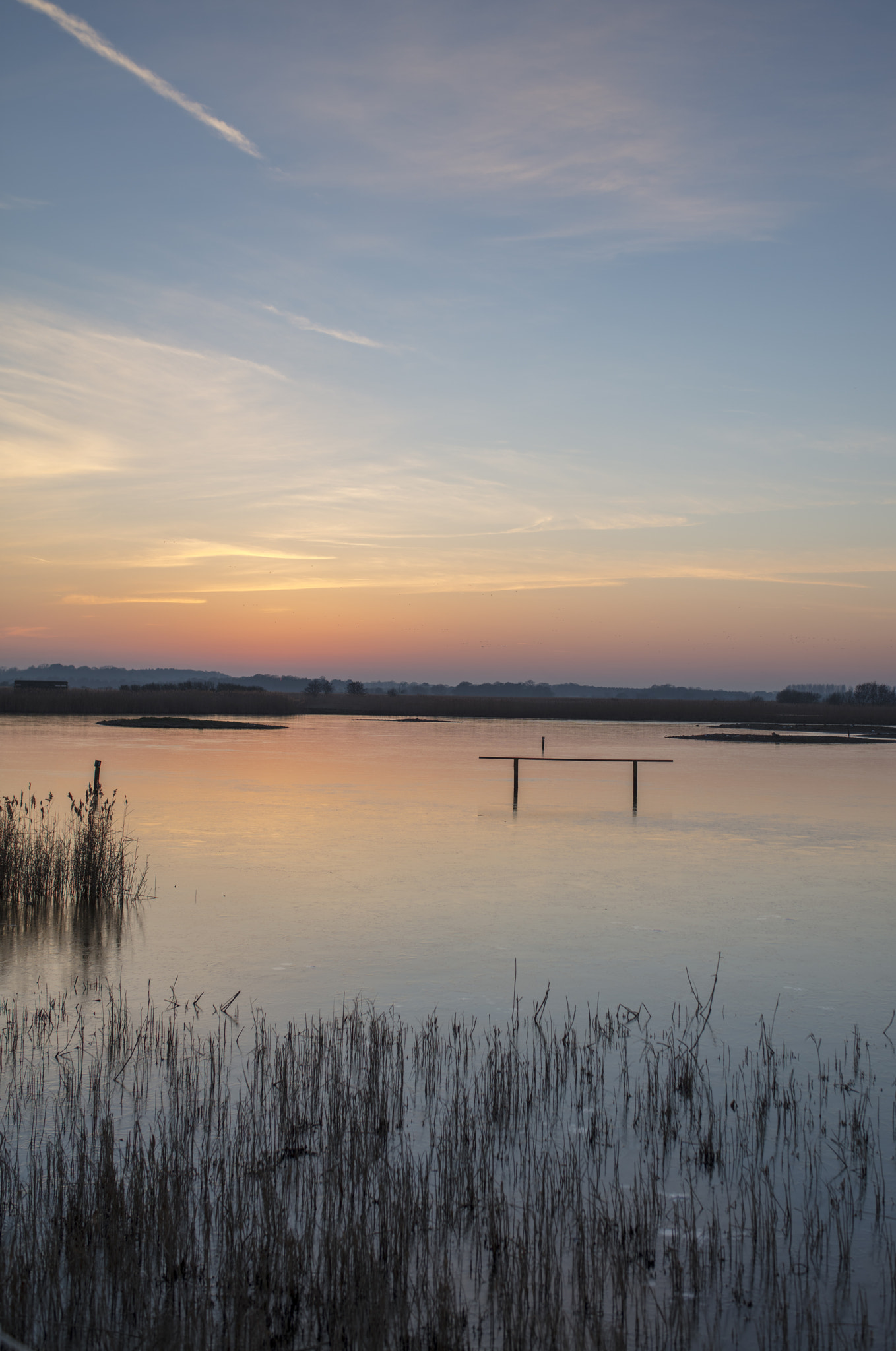 Sigma 35mm F1.4 DG HSM Art sample photo. Minsmere photography