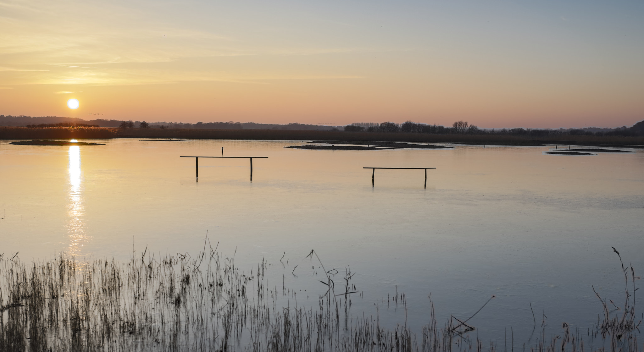 Sigma 35mm F1.4 DG HSM Art sample photo. Minsmere photography