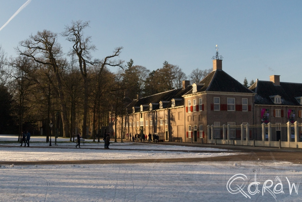 Sony SLT-A58 + Sigma 17-70mm F2.8-4.5 (D) sample photo. Het loo photography