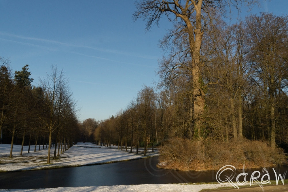 Sony SLT-A58 sample photo. Oranjetuin photography