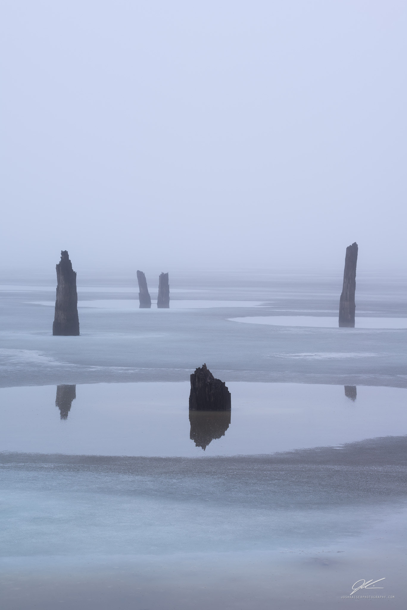 Nikon AF-S Nikkor 70-200mm F4G ED VR sample photo. Winter fog tree stump reflections photography