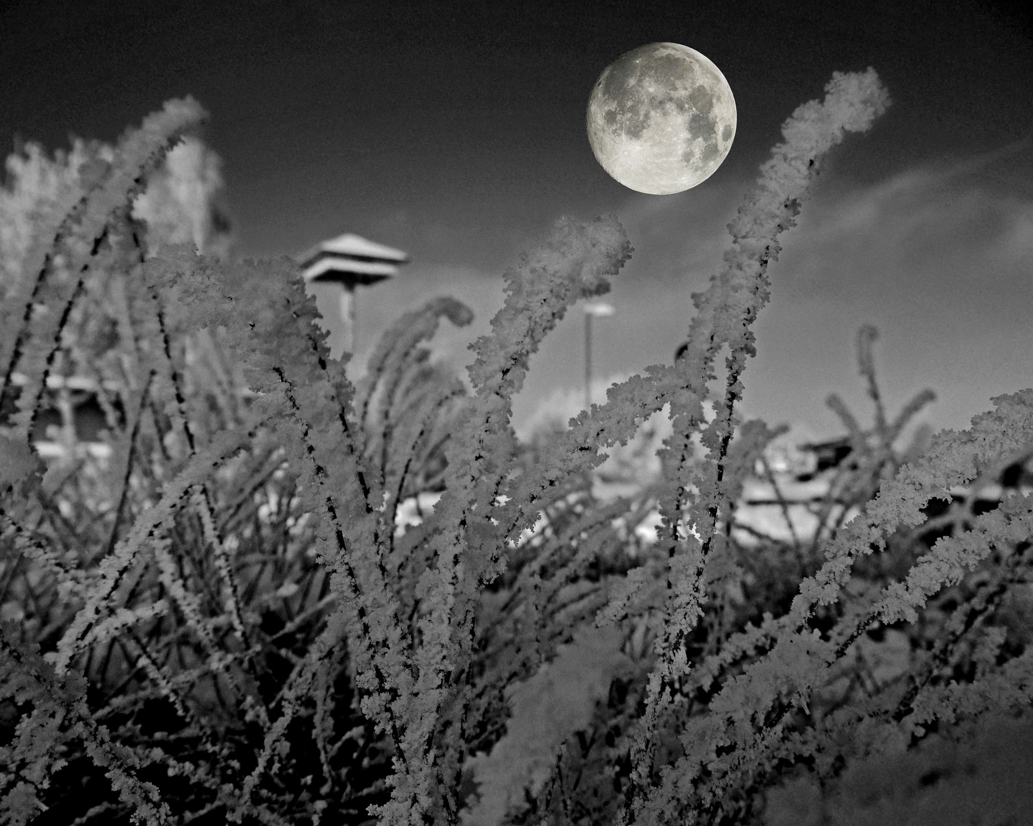 Panasonic Lumix DMC-G3 sample photo. Snow crystals with moon photography