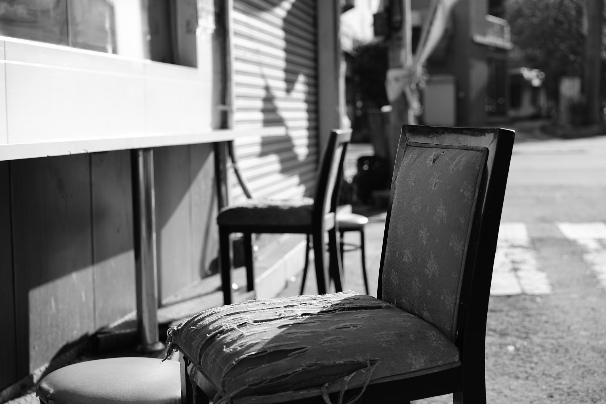 Sony a7R II + Sony Sonnar T* FE 55mm F1.8 ZA sample photo. Settled photography
