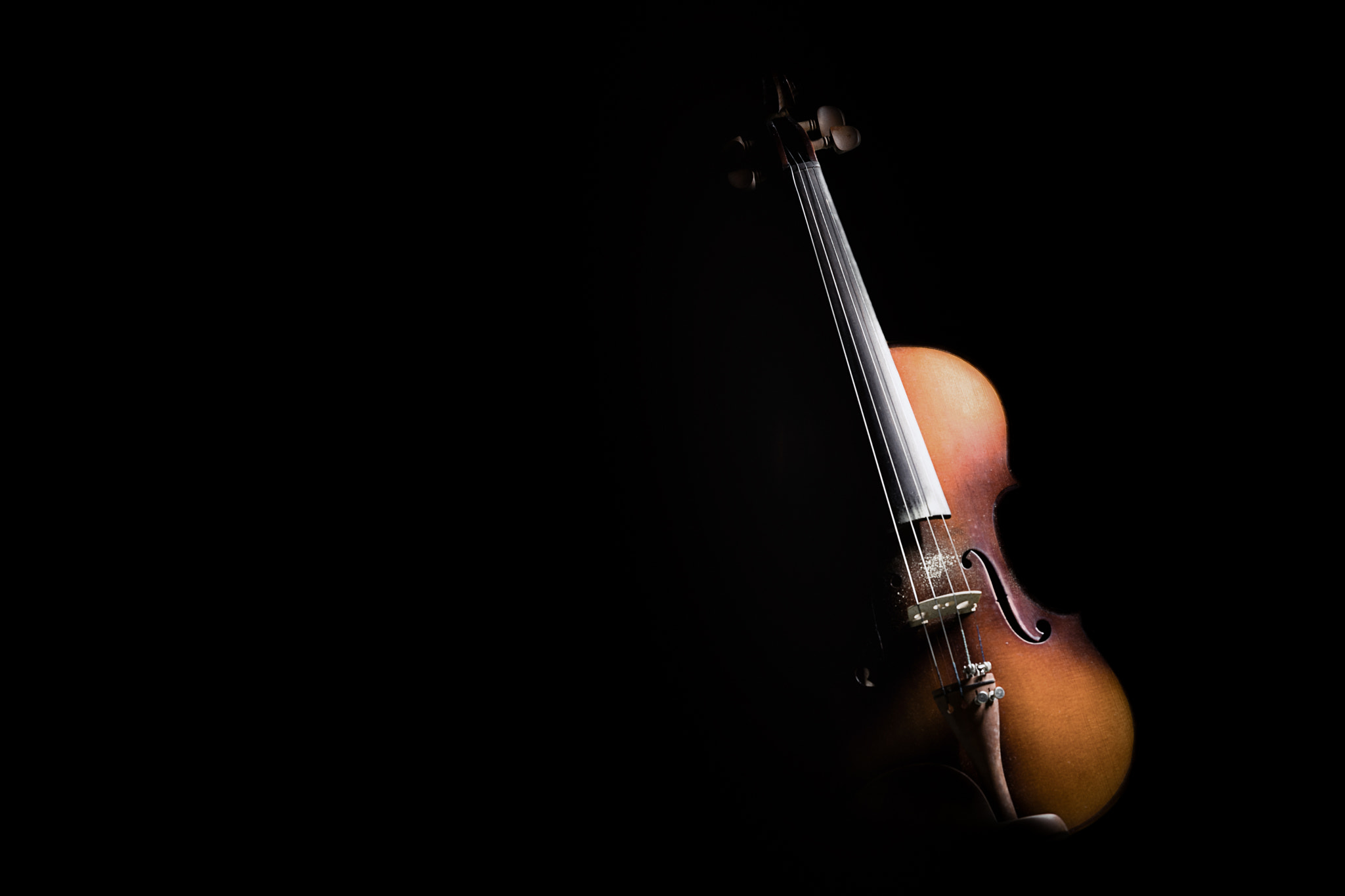 Sony FE 85mm F1.4 GM sample photo. Violin photography