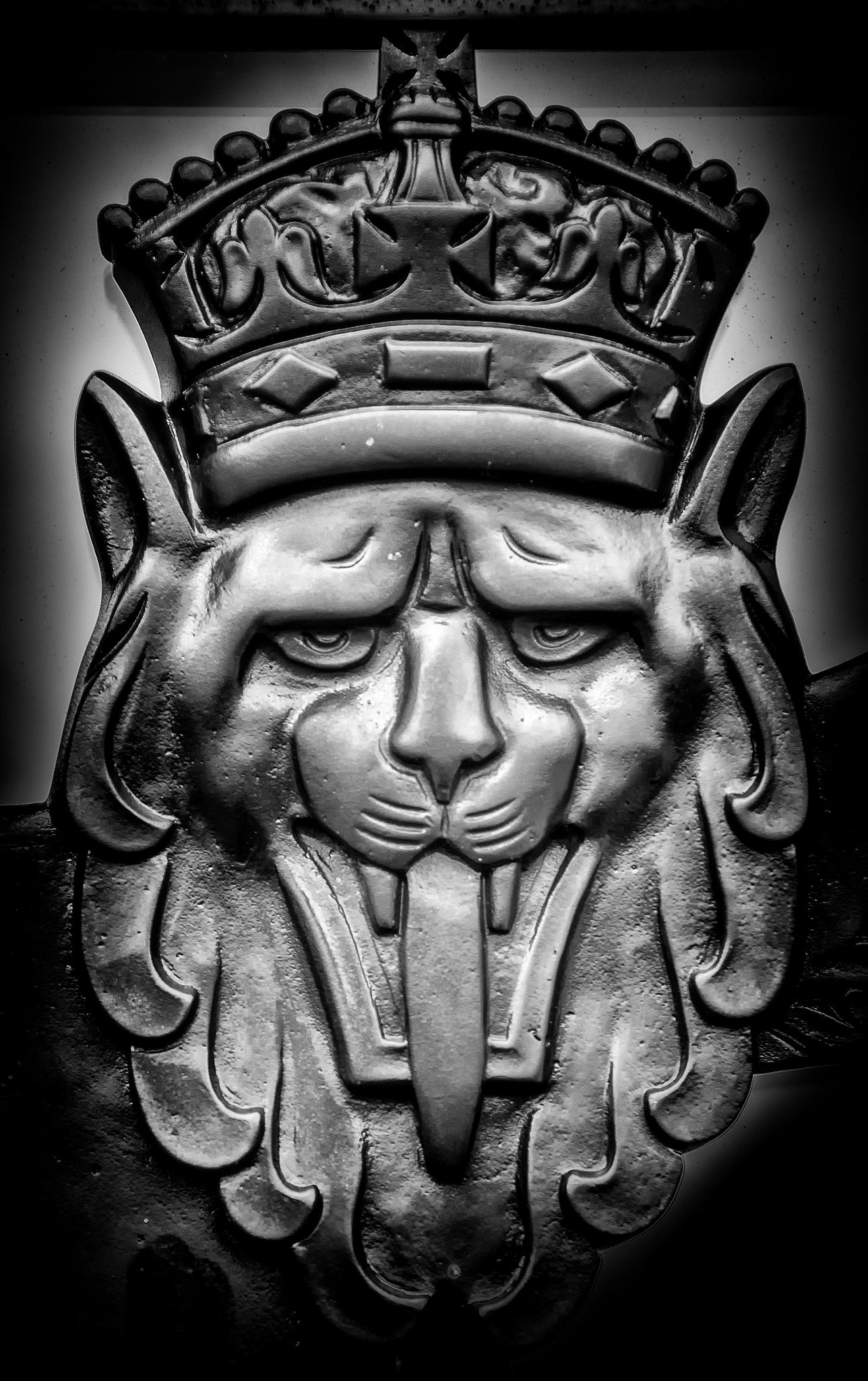 Nikon D500 sample photo. Lion at the gate photography
