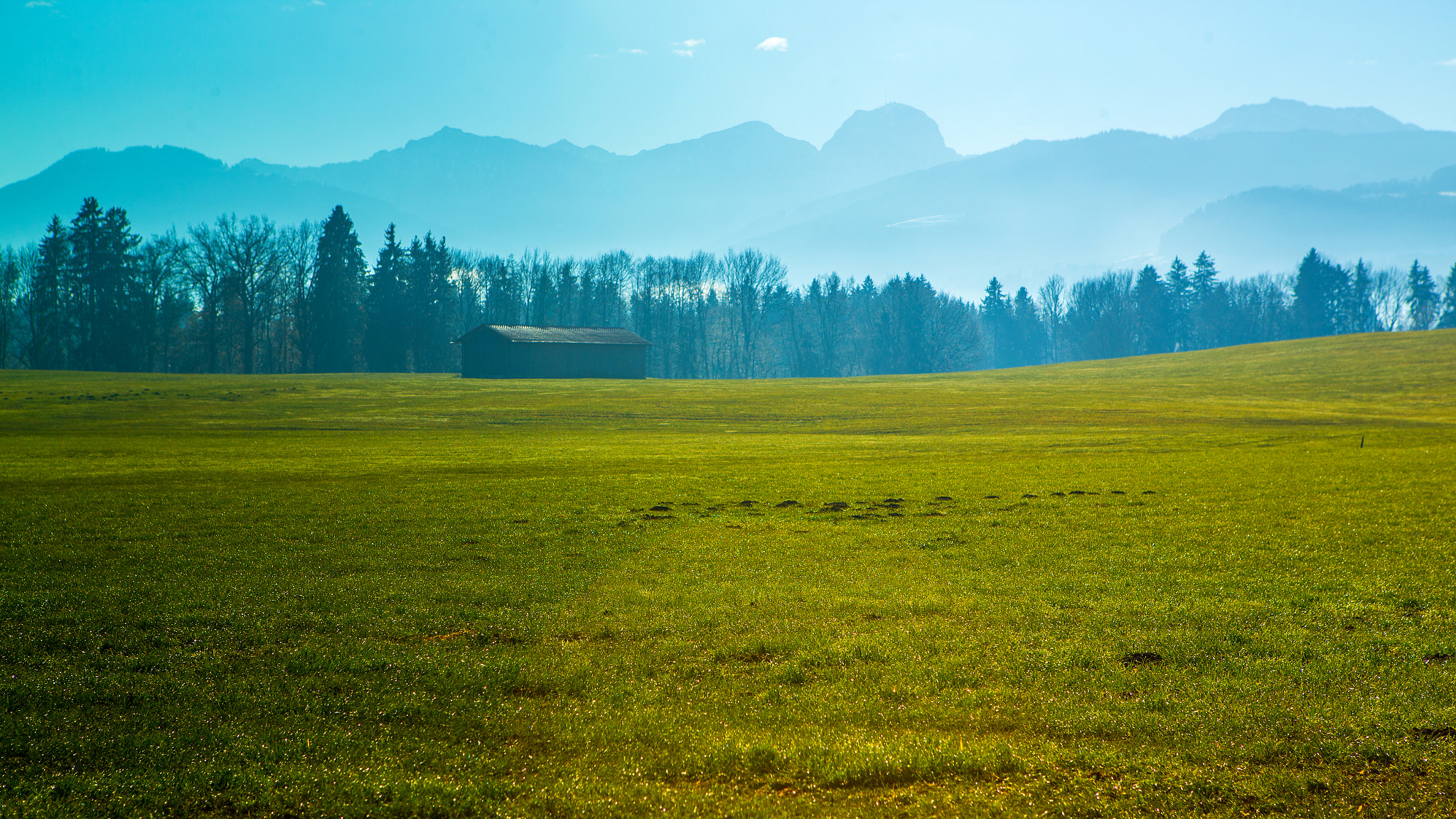Canon EOS-1D X sample photo. Green photography