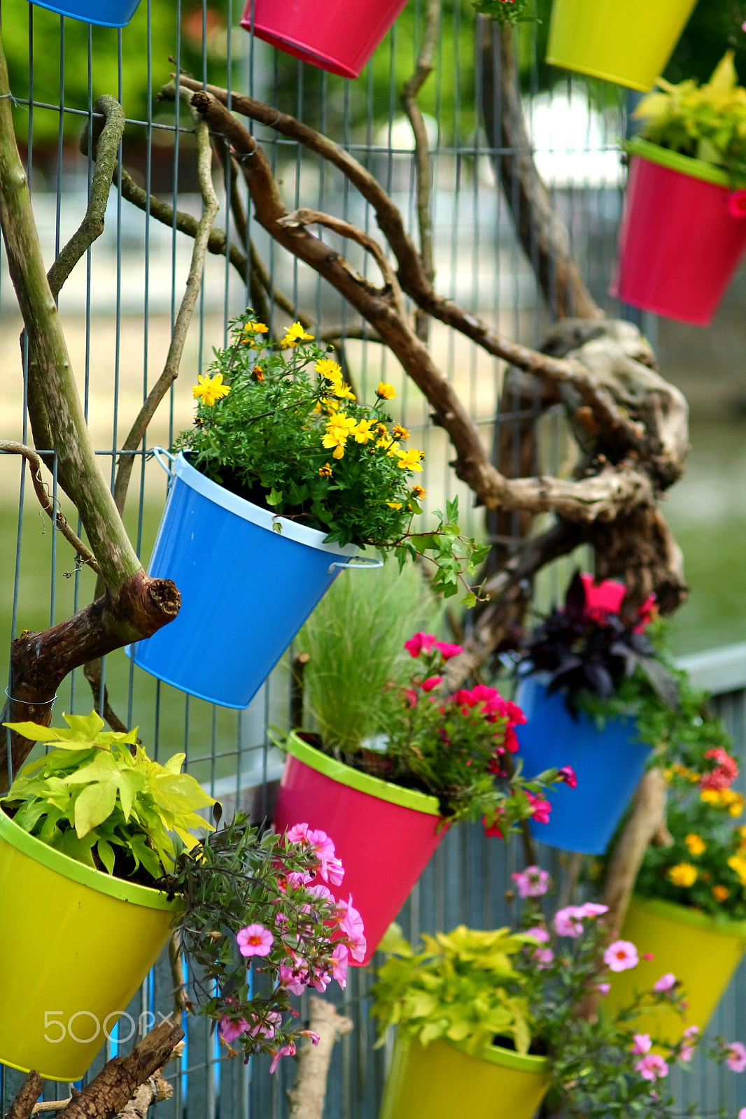 Canon EF 35-80mm f/4-5.6 sample photo. Fence flower decoration photography