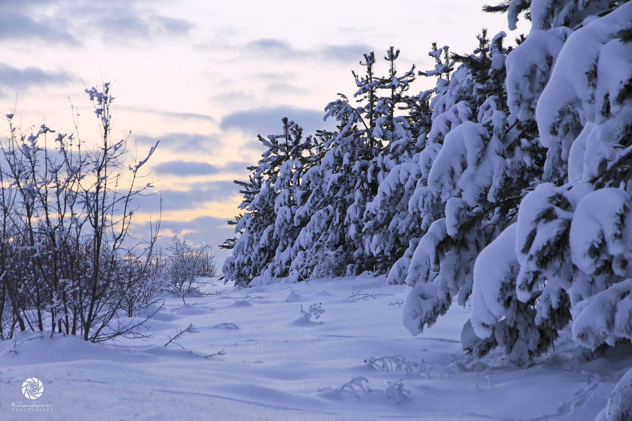 Canon EOS 1100D (EOS Rebel T3 / EOS Kiss X50) sample photo. Winter paradise photography