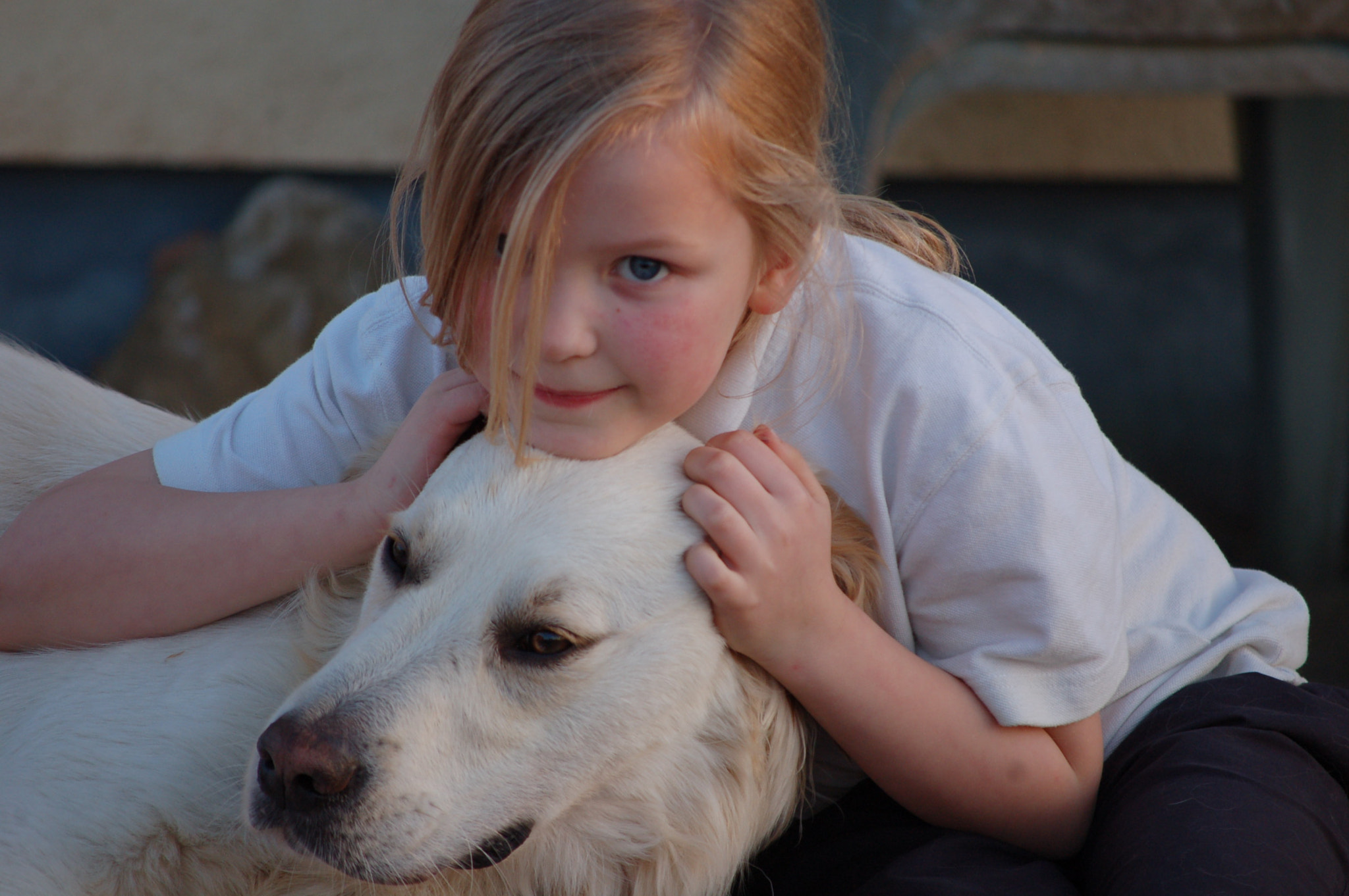 Nikon D50 sample photo. One girl and her dog photography