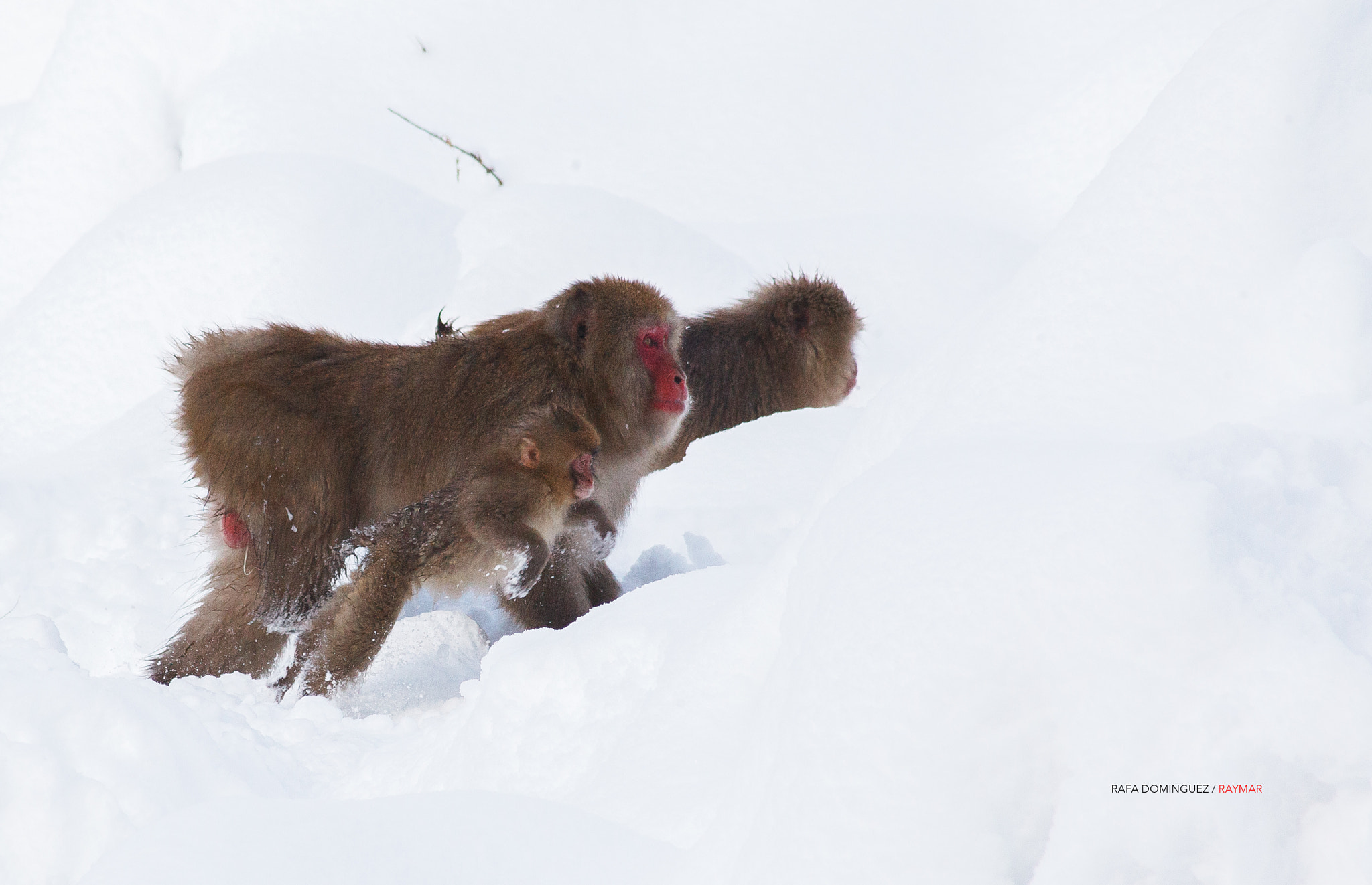 EF75-300mm f/4-5.6 sample photo. Snow games photography