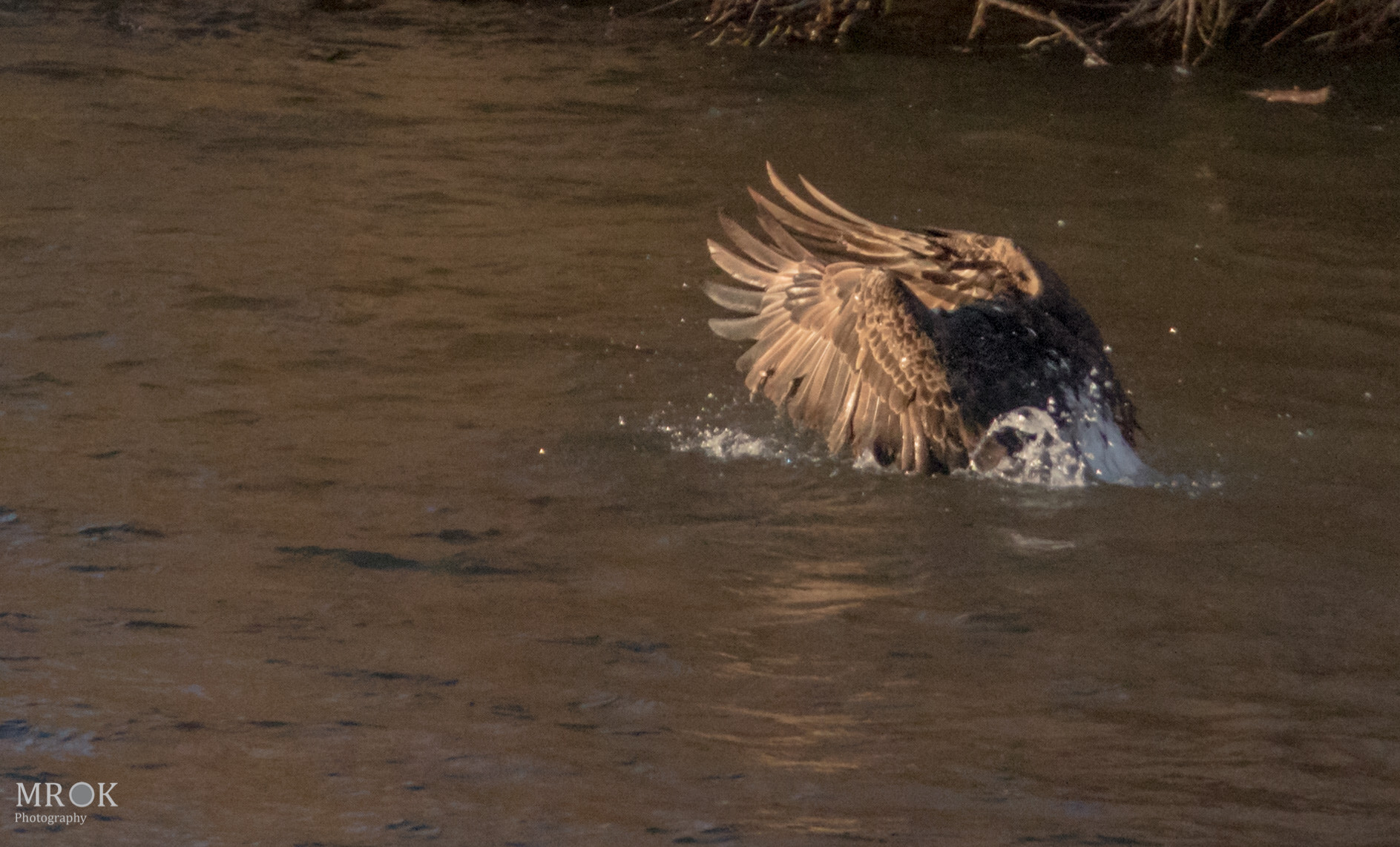 Canon EF 70-200mm F4L USM sample photo. Eva4 photography