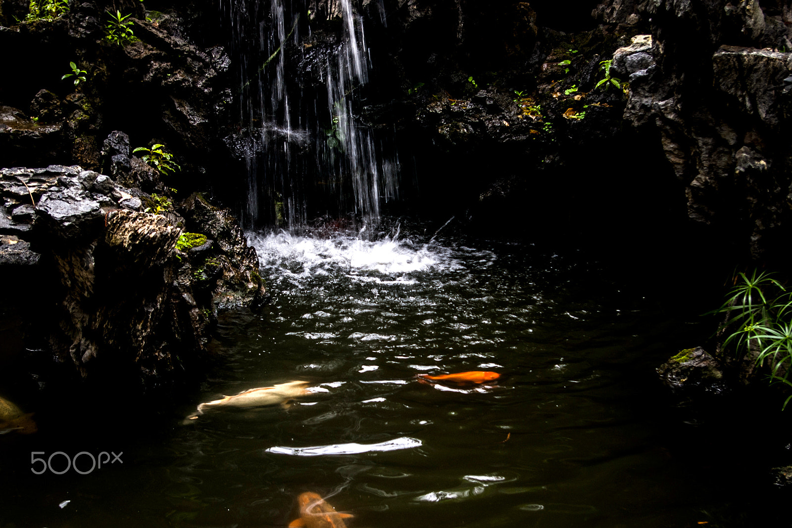 Pentax K100D + Pentax smc DA 18-55mm F3.5-5.6 AL sample photo. 副本 photography