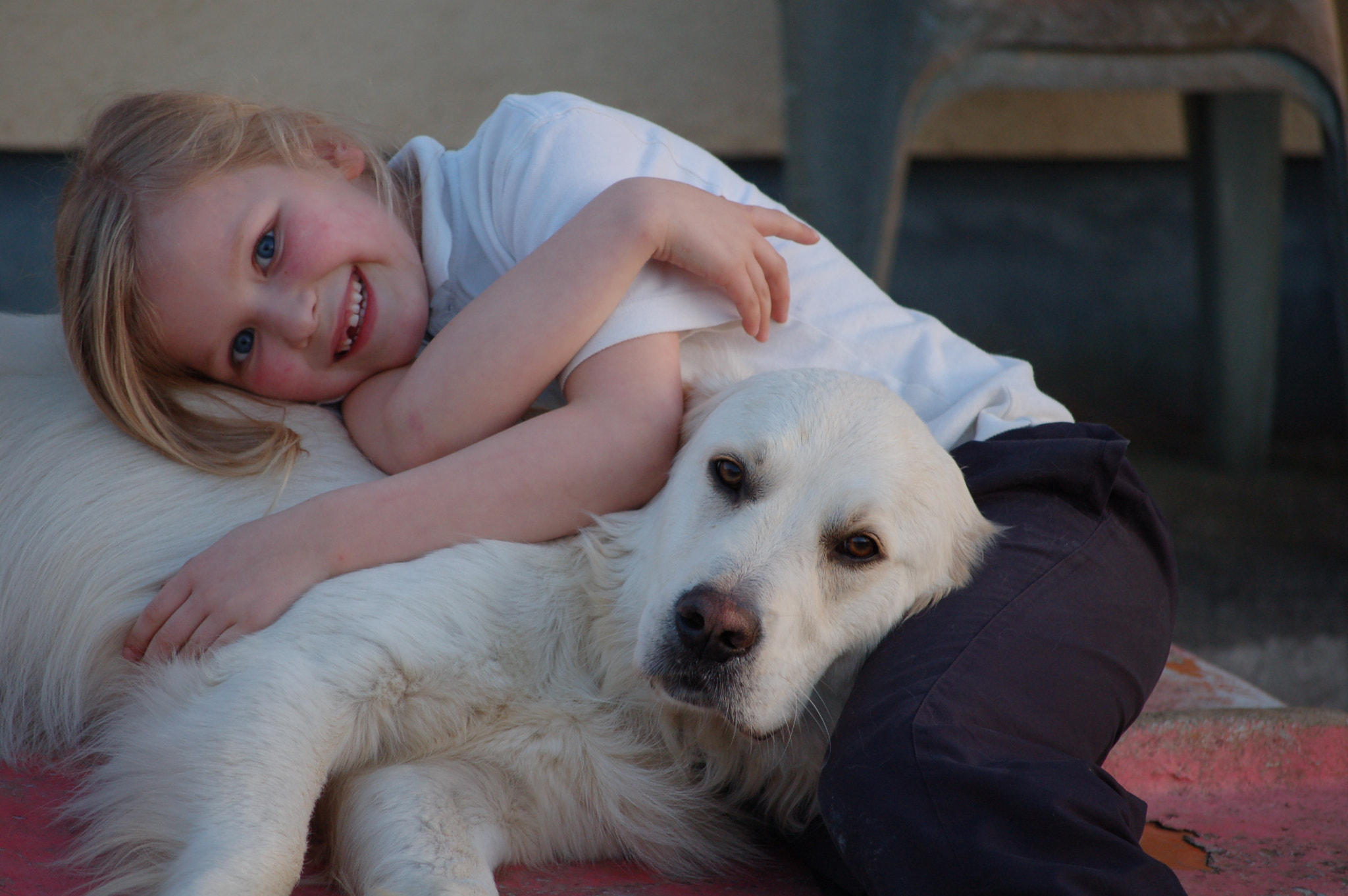 Nikon D50 sample photo. Snuggles photography