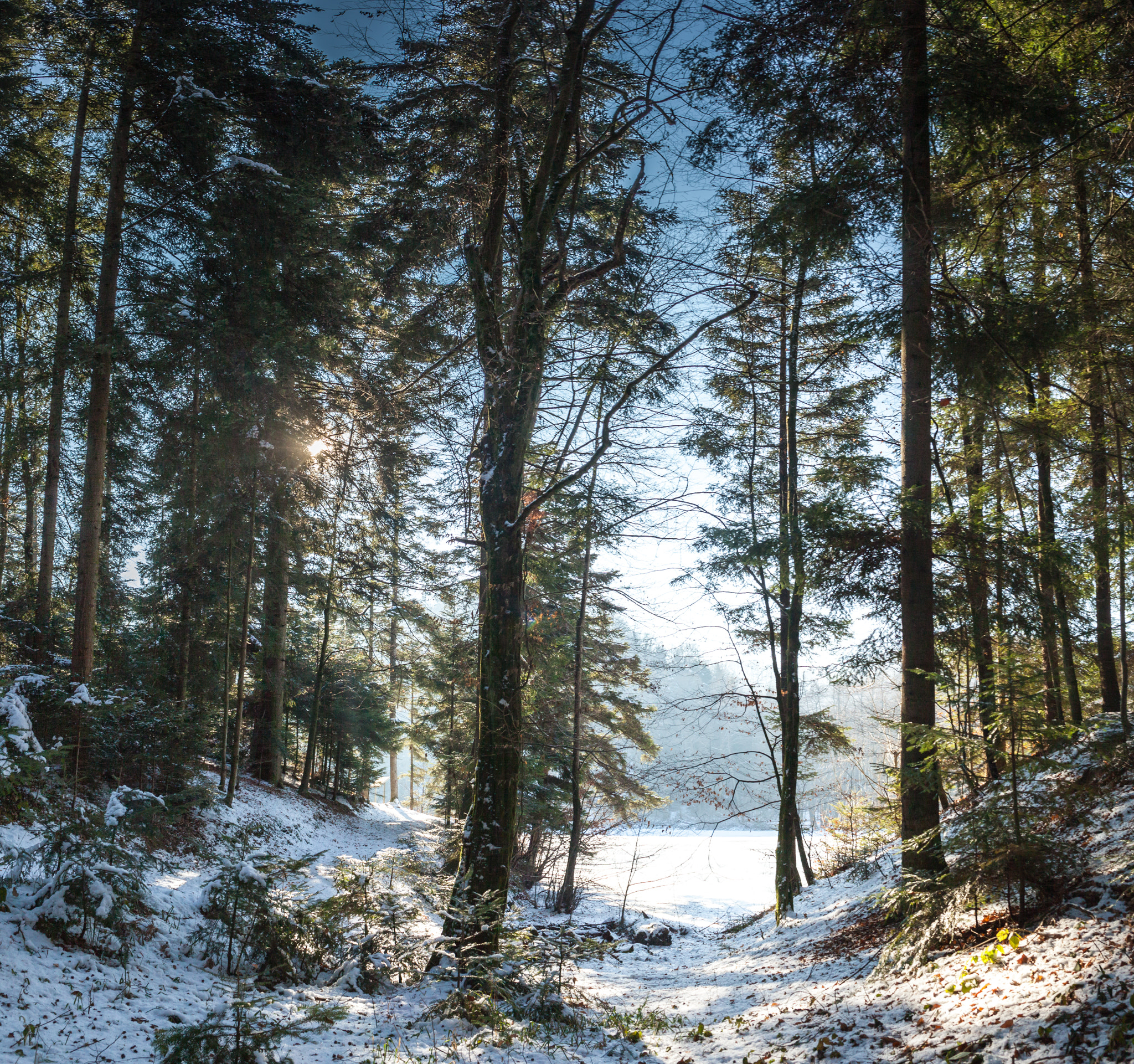 Canon EOS 5D Mark II + Canon EF 24mm F2.8 IS USM sample photo. Entrance to the frozen lake. photography