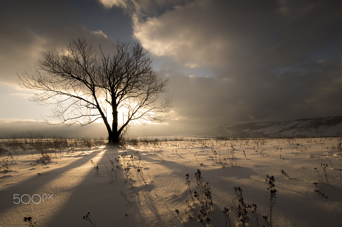 Sigma 10-20mm F3.5 EX DC HSM sample photo. During sunset photography