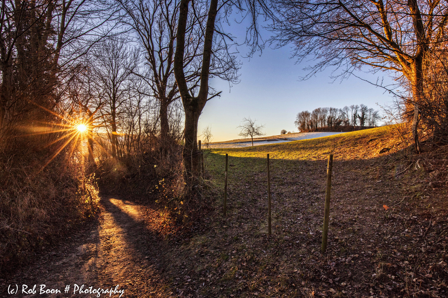 Canon EF 16-35mm F4L IS USM sample photo. Golden sunrise @ mechelen photography